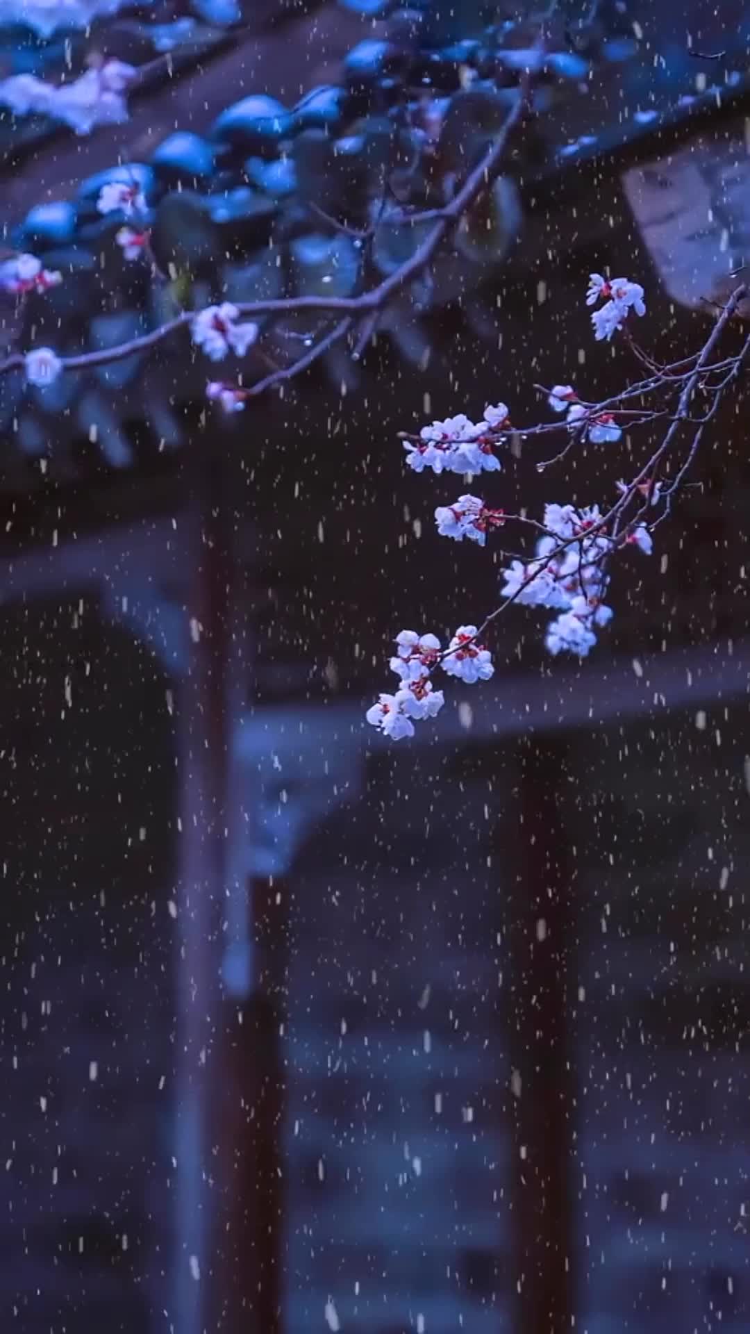 Calm Winter Scenery Live Wallpaper 