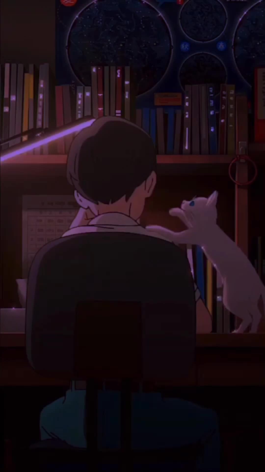 Android  iOS Chill With Cat Live Wallpaper 