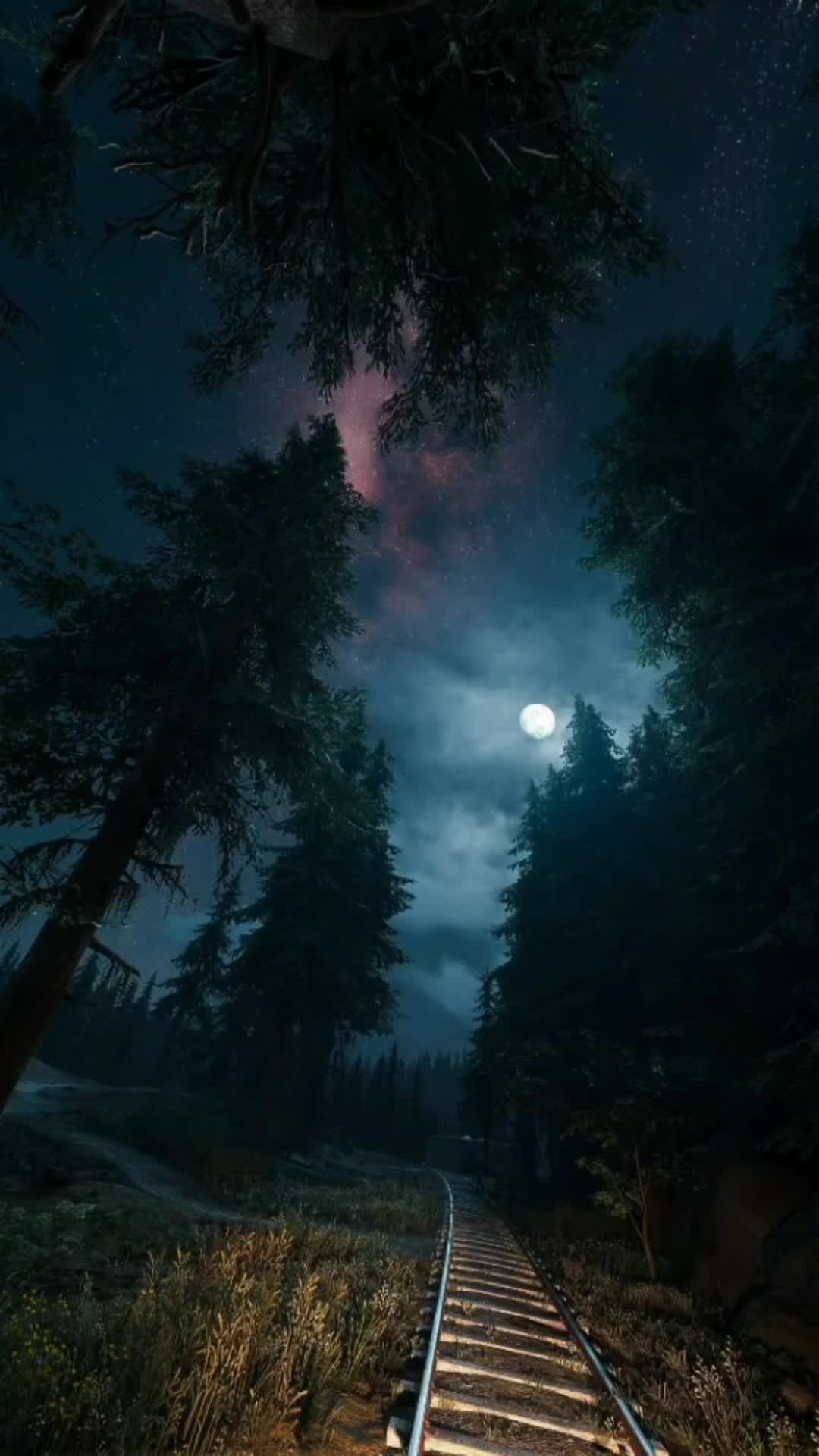 Android  iOS Night Sky Live Wallpaper