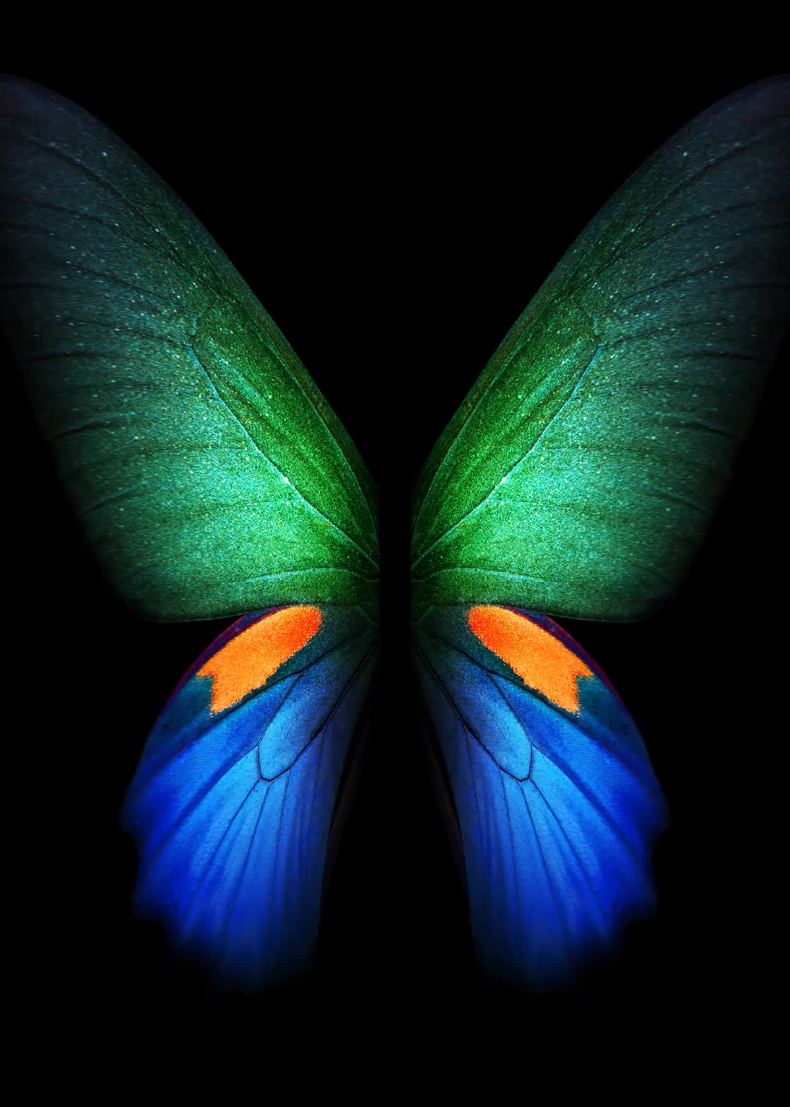 Butterfly Multicolor Samsung Galaxy Z Fold3 Phone Live Wallpaper