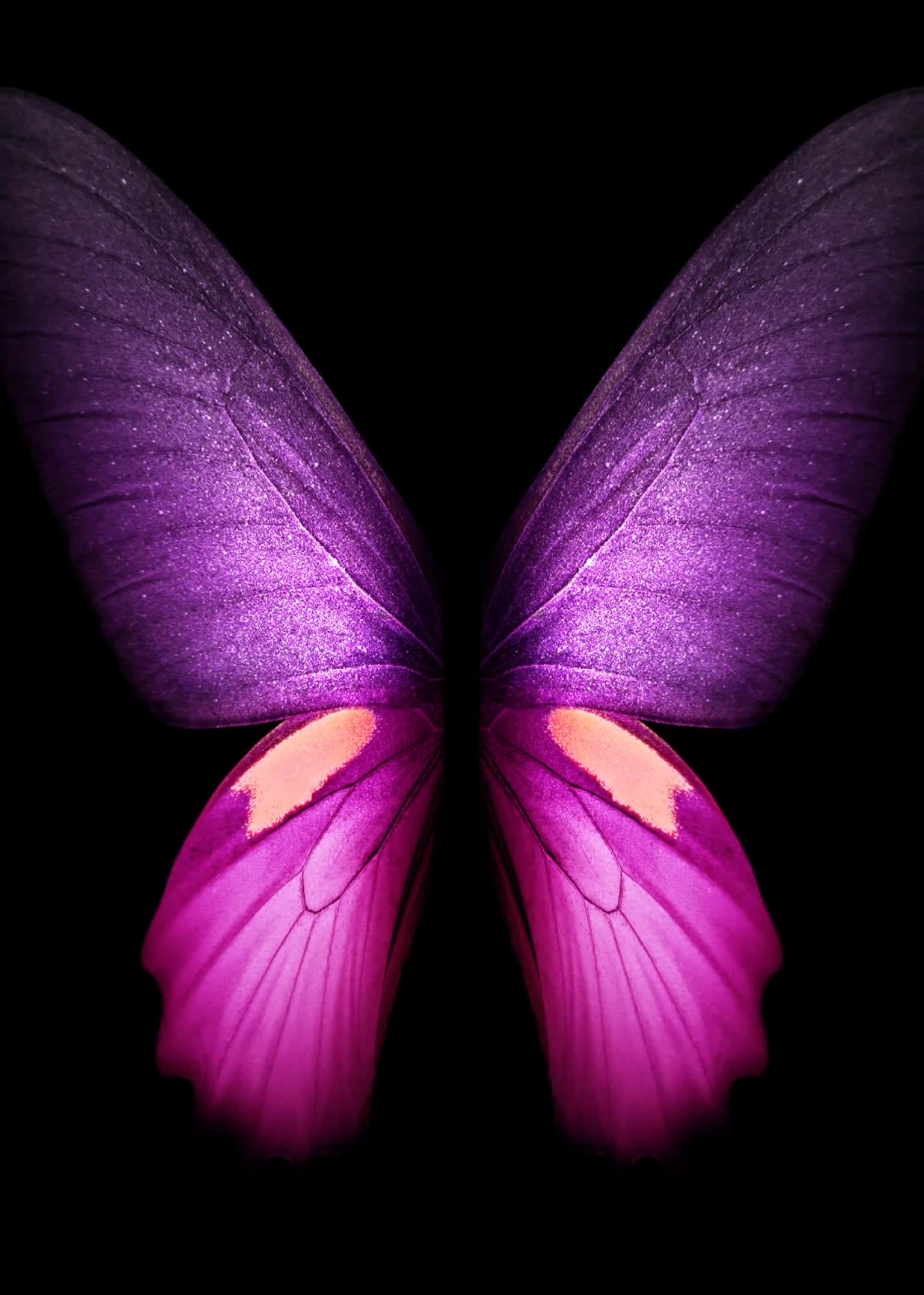 Butterfly Purple Samsung Galaxy Z Fold3 Phone Live Wallpaper