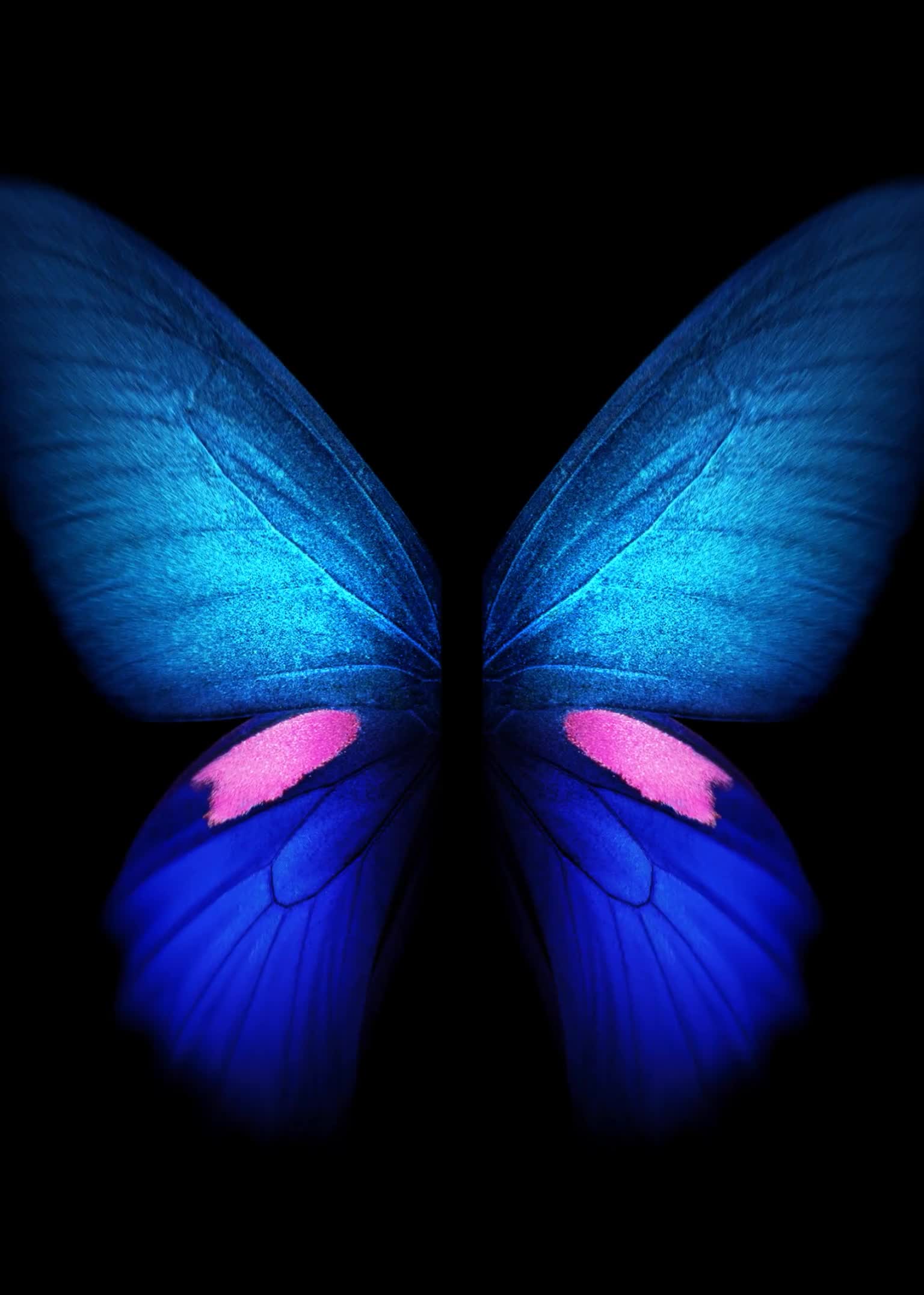 Butterfly Azul Samsung Galaxy Z Fold3 Phone Live Wallpaper