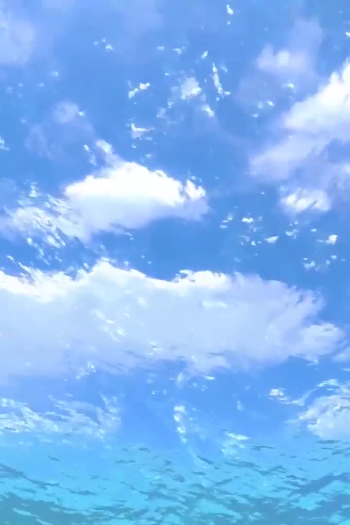 Live Cool Underwater Wallpaper To Iphone And Android