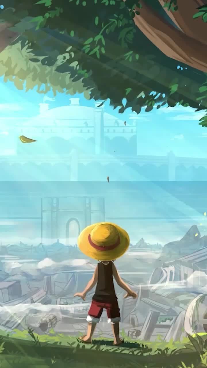 iPhone and Android Luffy In Gray Terminal Live Phone Wallpaper