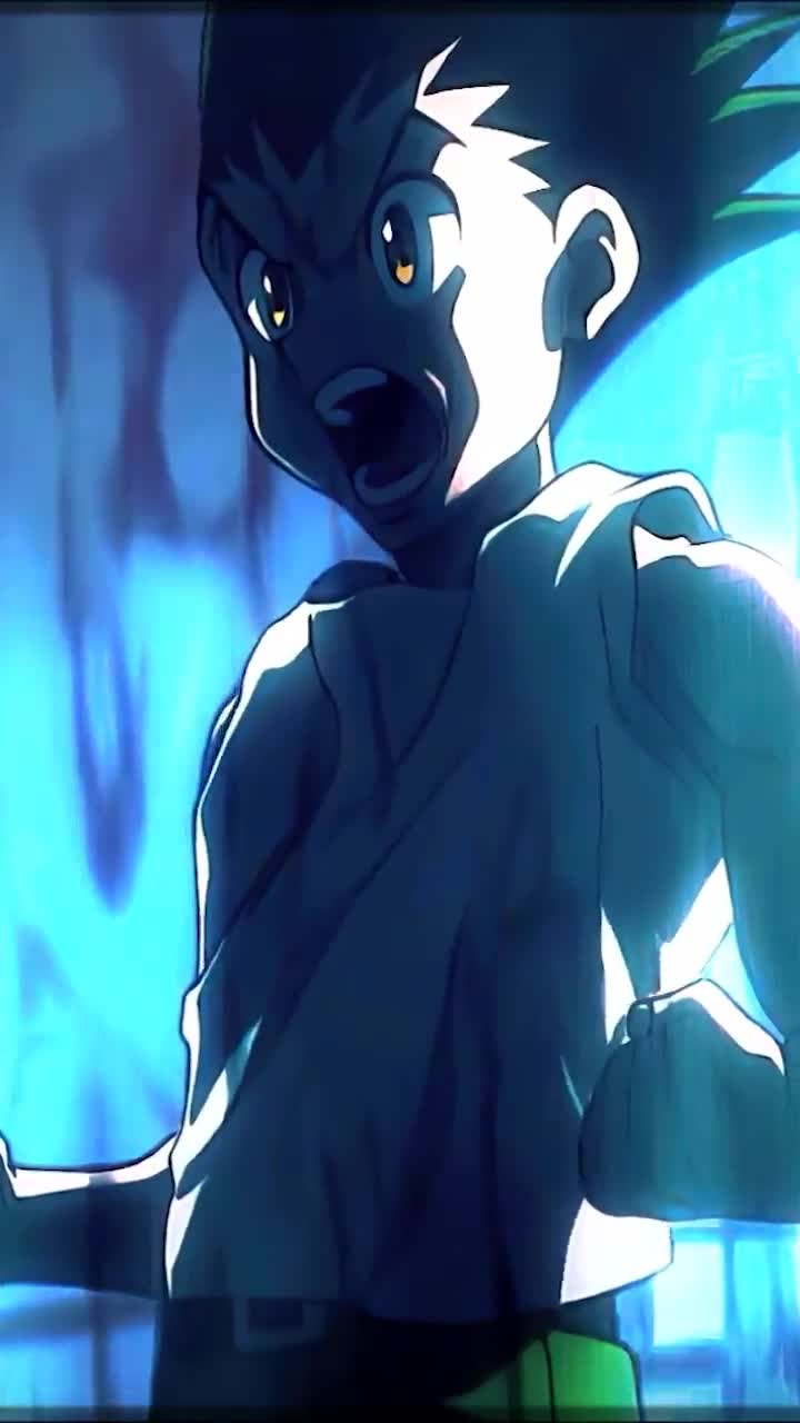 iPhone  Android Hunter X Hunter Anime Phone Live Wallpaper