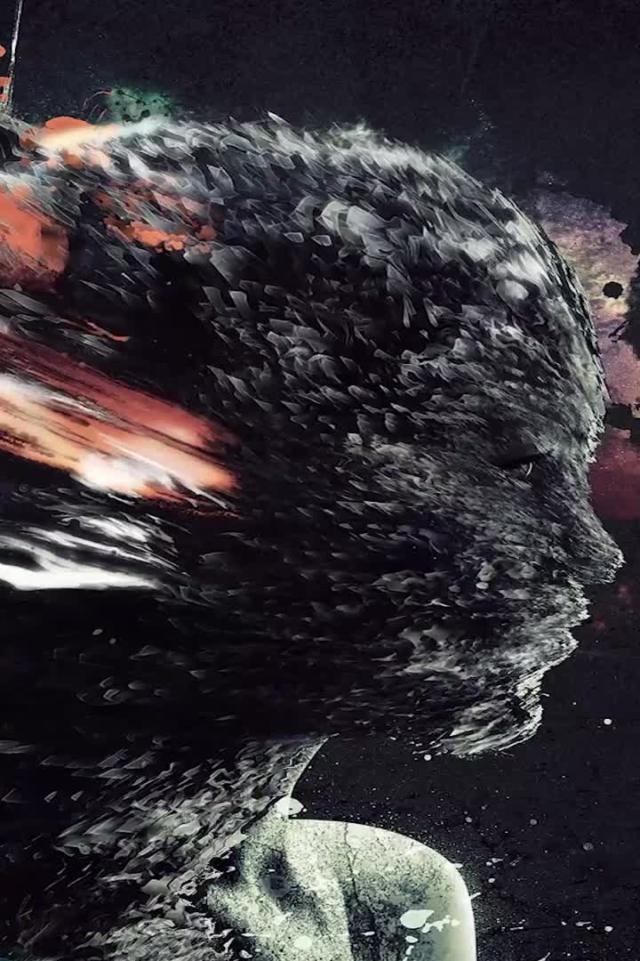 Cool Human iphone 12 pro wallpaper