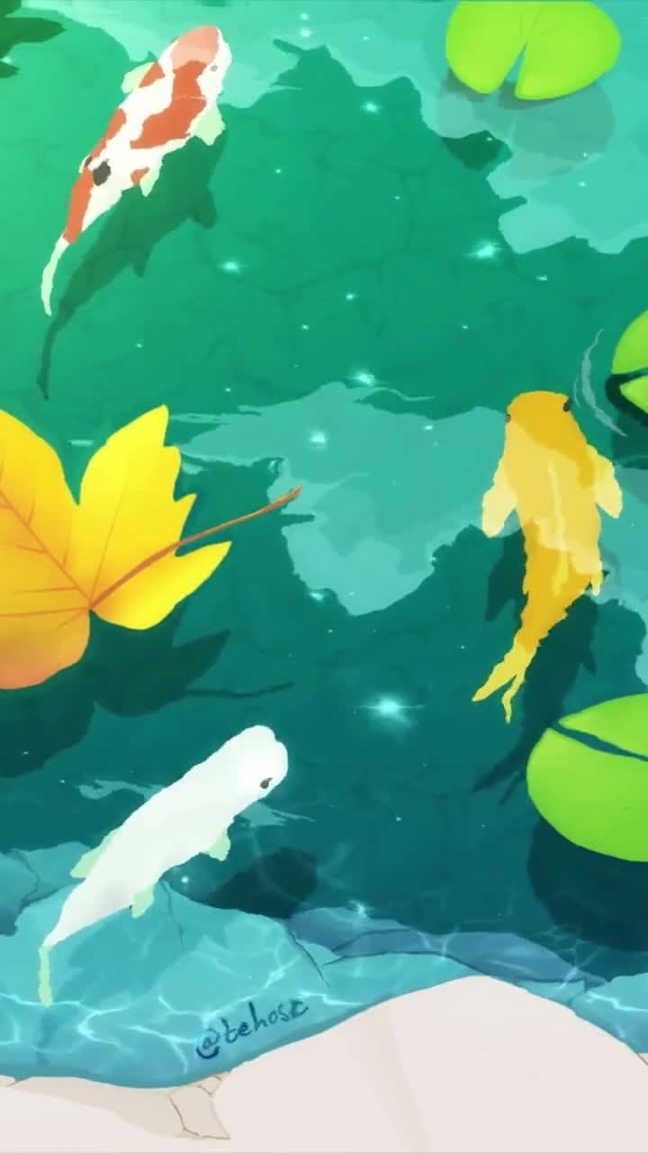 iPhone and Android Koi Pond Live Phone Wallpaper