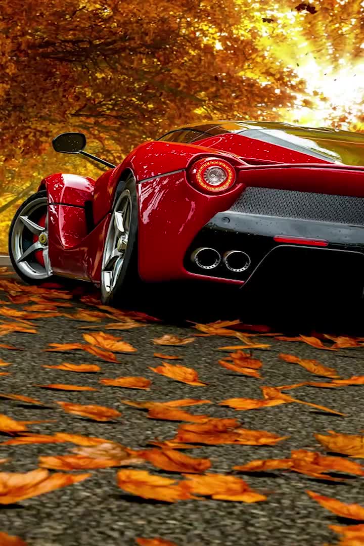 Fall Wallpaper iPhone