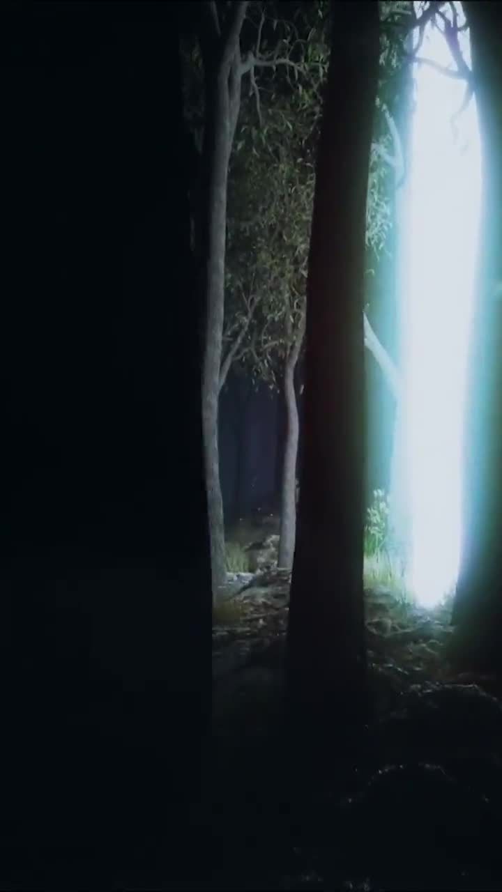 iPhone  Android Light Beam Forest Nature 3d Phone Live Wallpaper