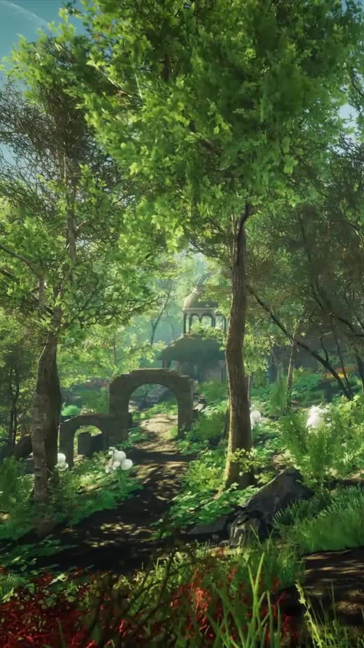 Free a walk through the woods for android wallpaper