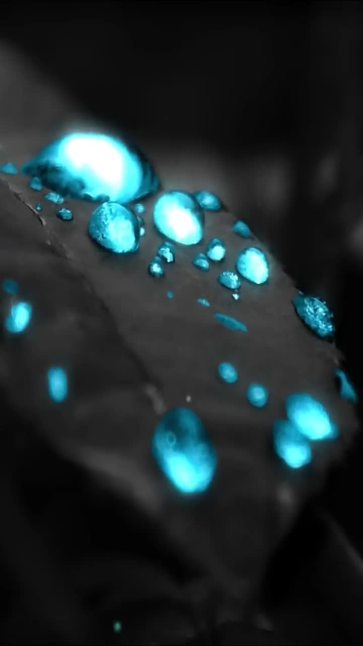 iPhone  Android Water Droplets Nature Phone Live Wallpaper