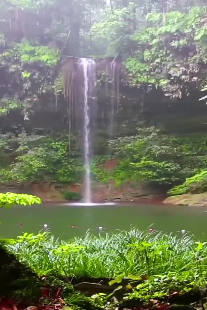 Cool Tropical waterfall Fall Wallpaper Iphone