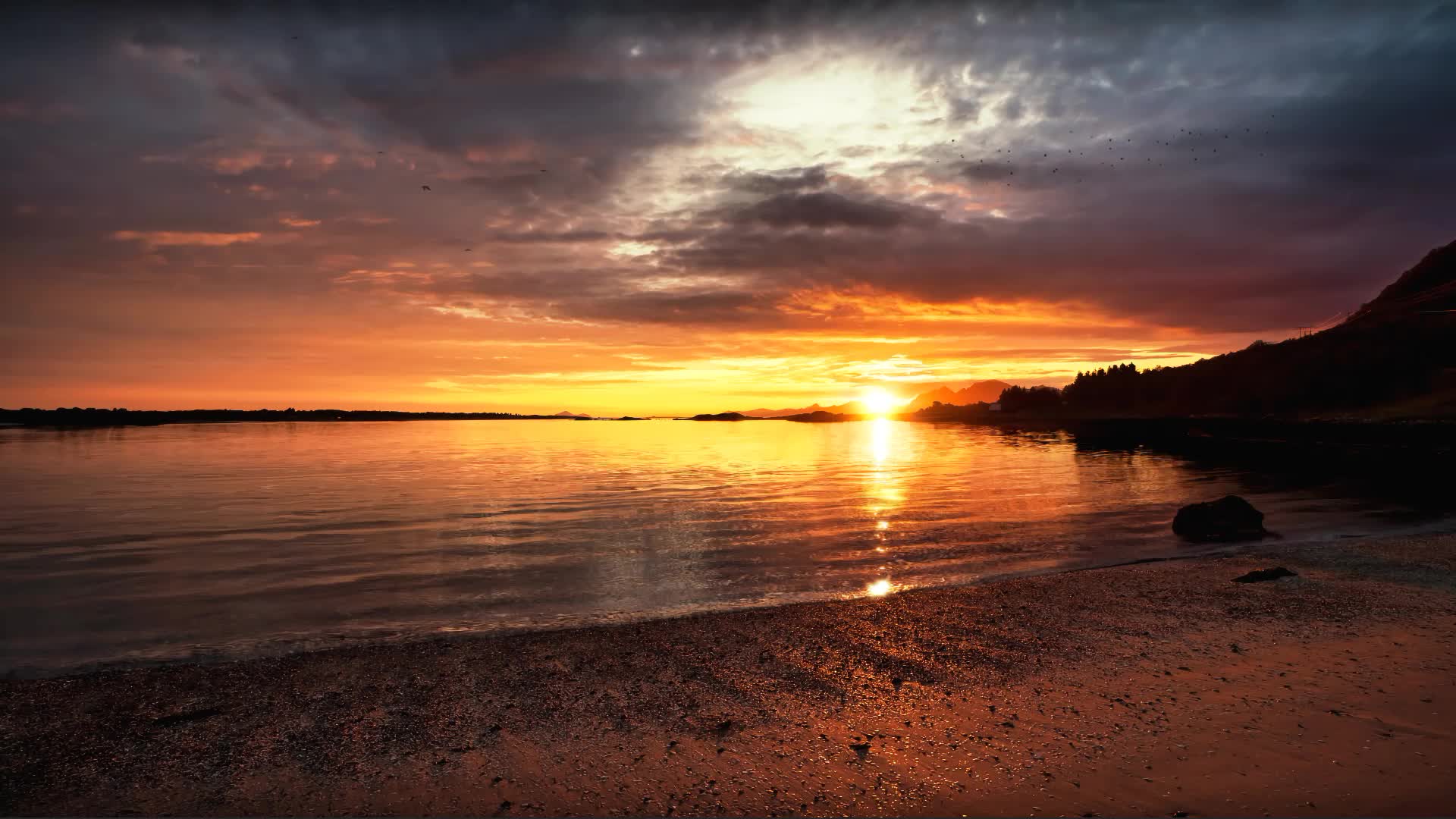 Seaside Sunset HD Live Wallpaper