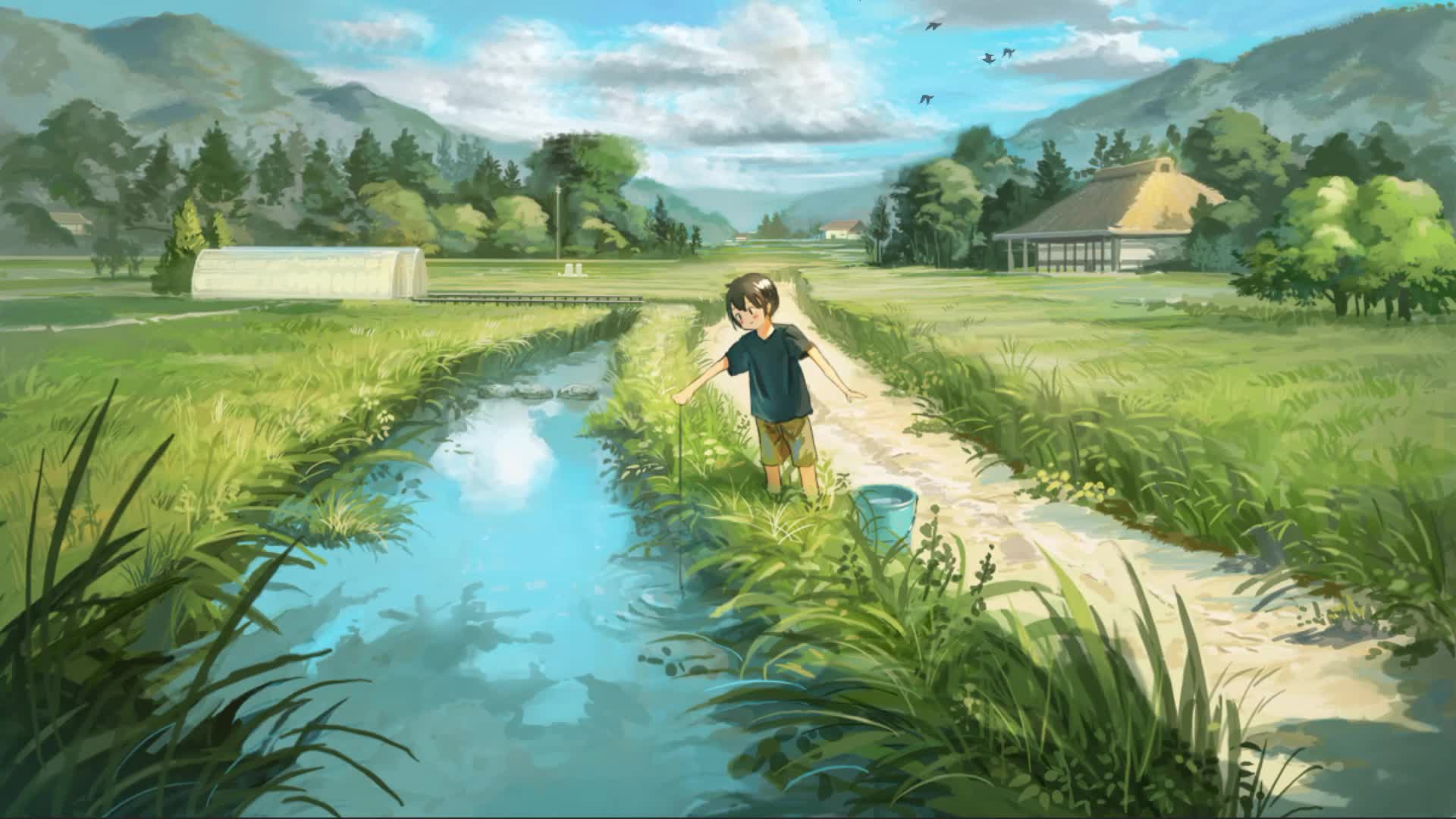 Summer Fishing Boy Live Wallpaper