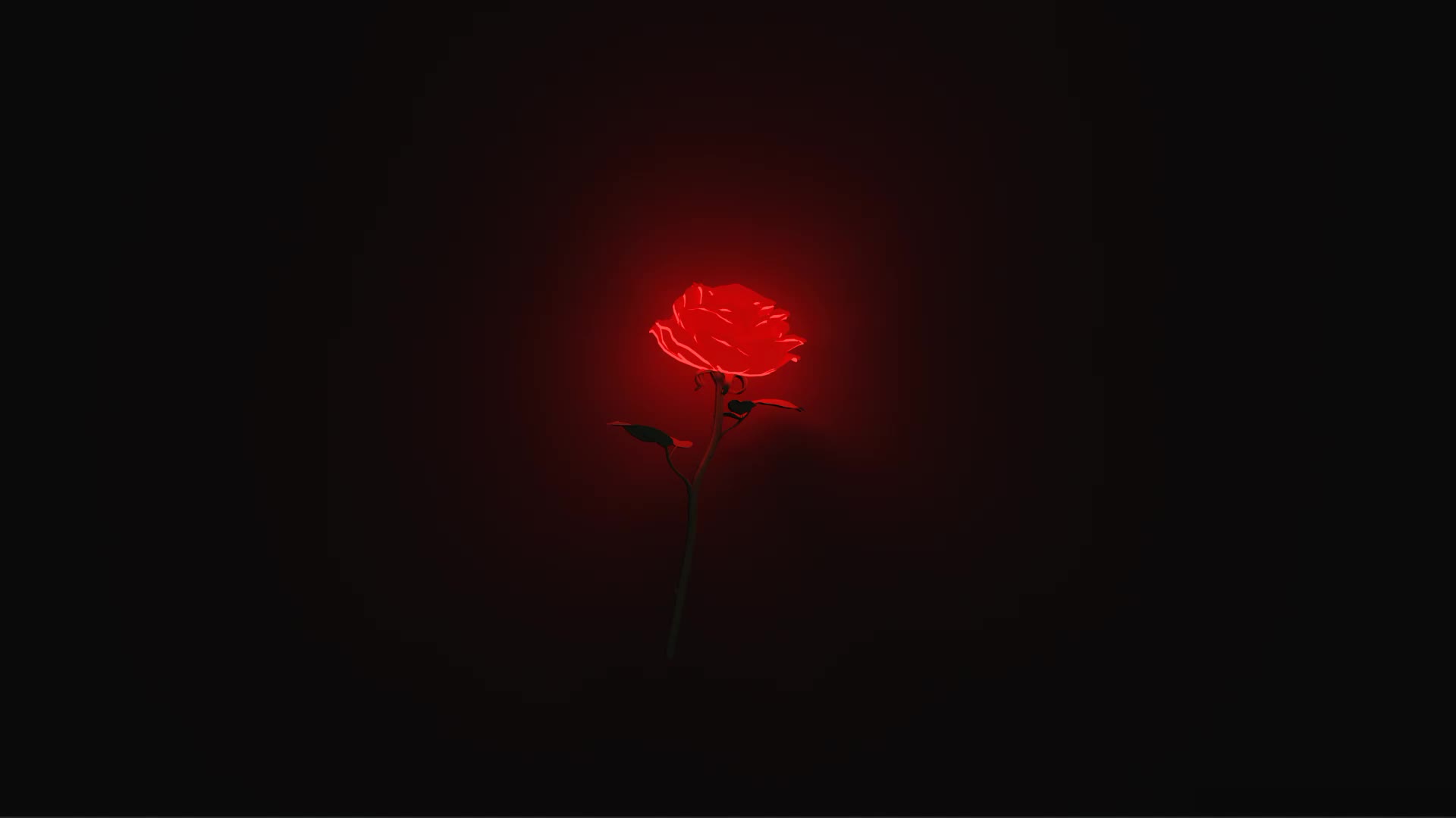 Rose Live Wallpaper