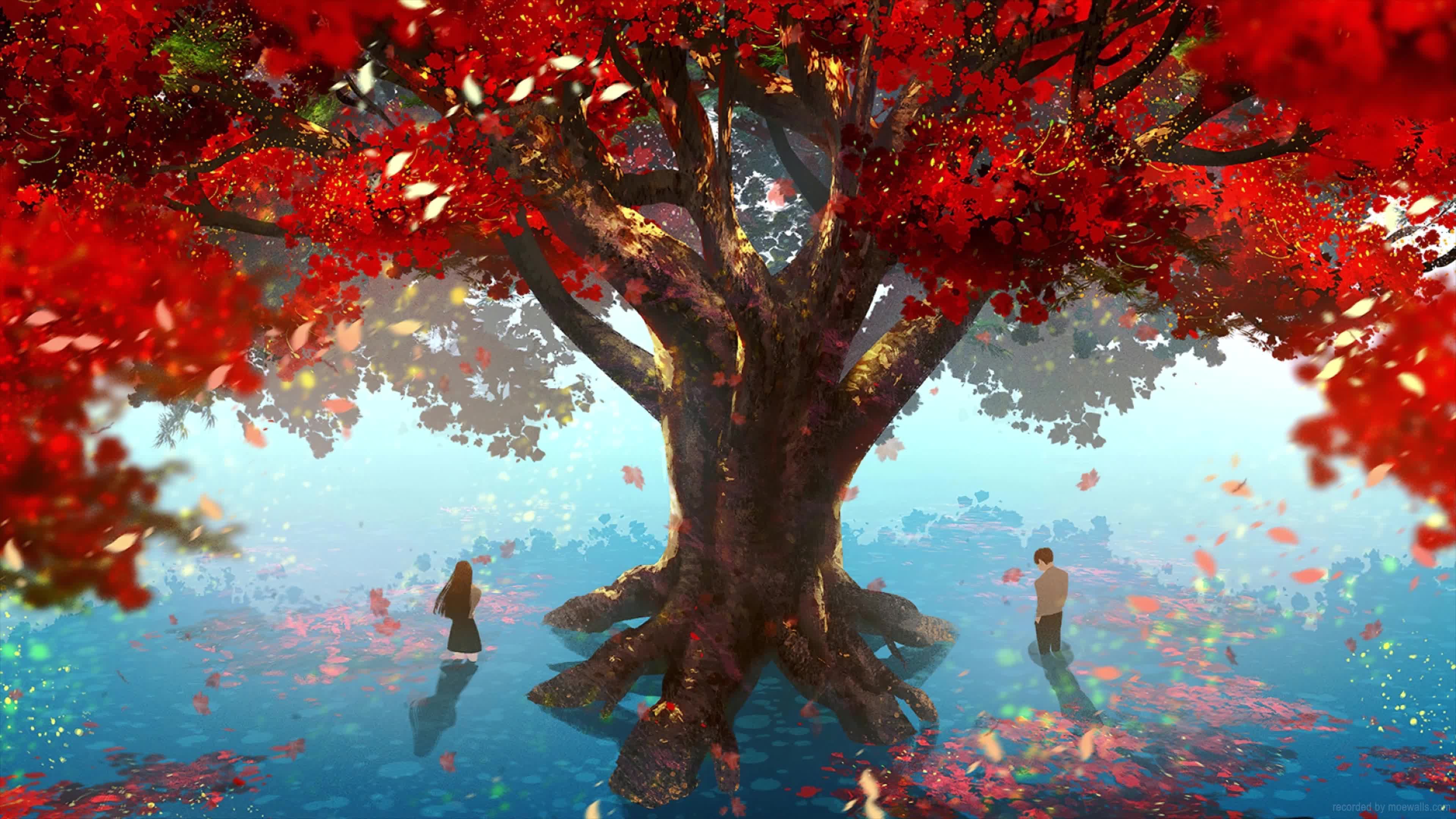 Anime Anime Couple Under The Autumn Tree Live Wallpaper