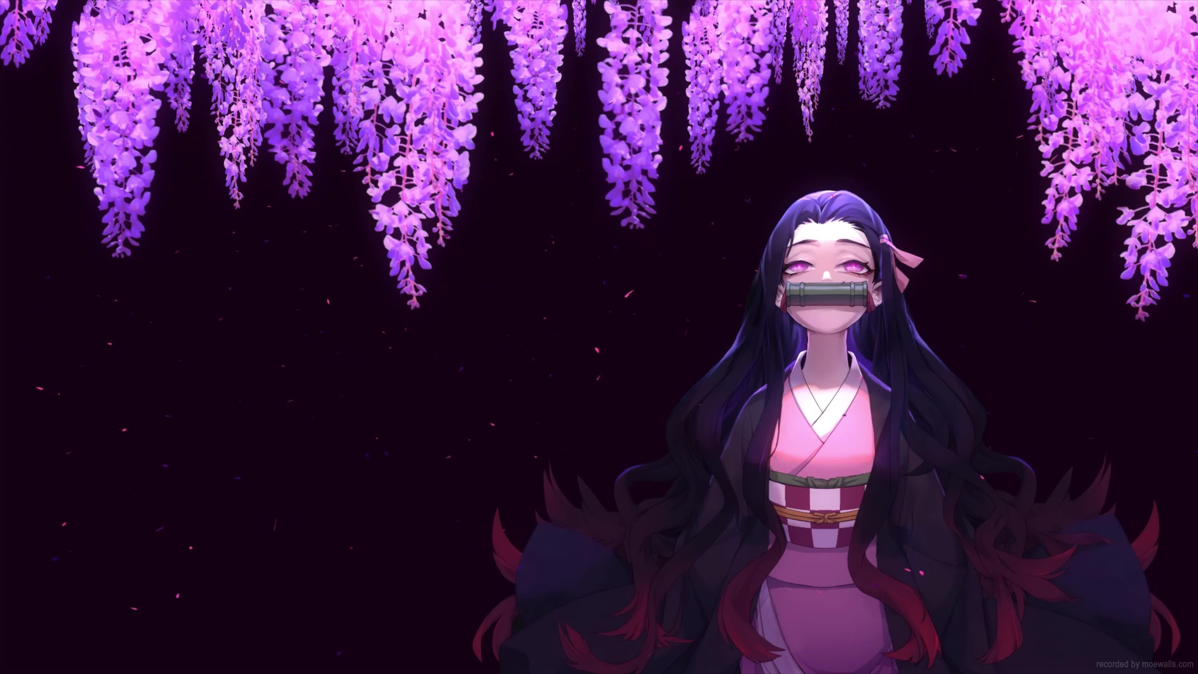 Anime Wisteria Nezuko Kimetsu No Yaiba Live Wallpaper
