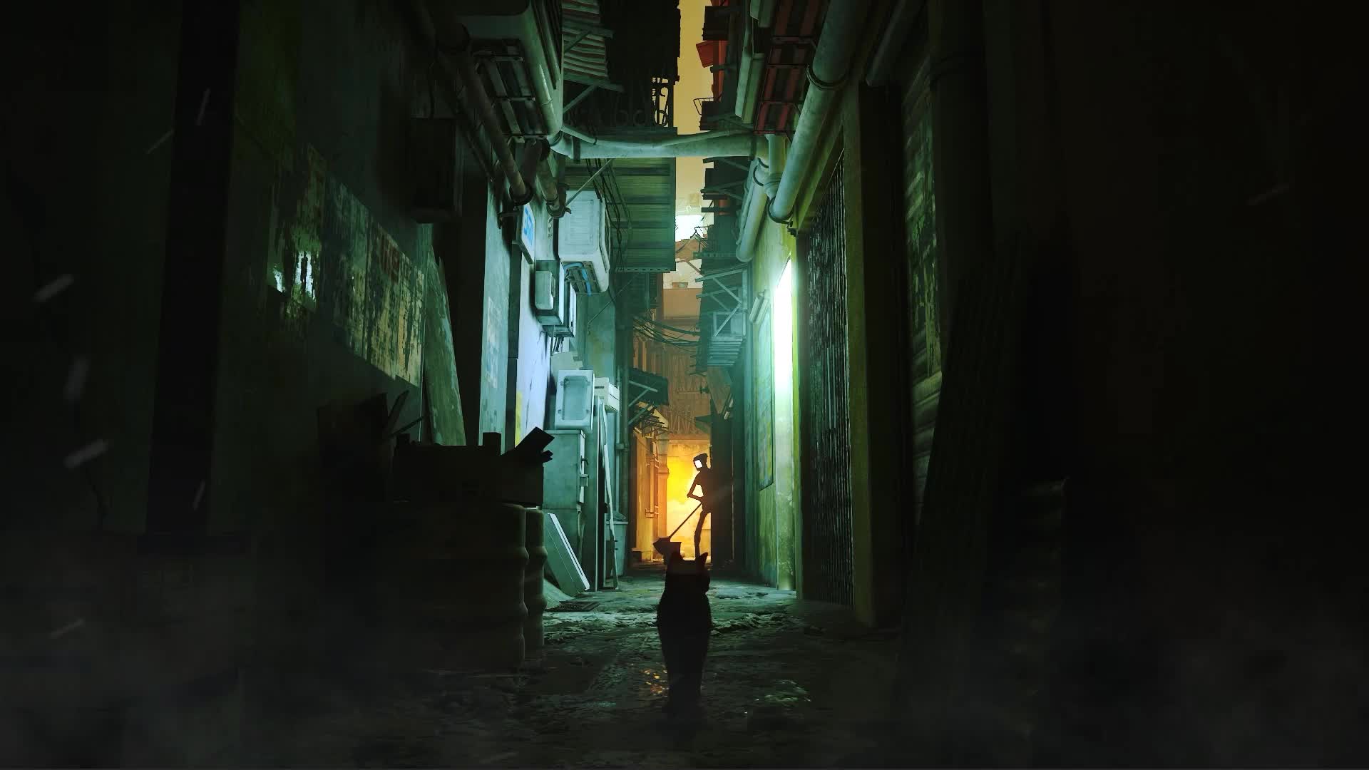 Stray Cat Game Live Wallpaper