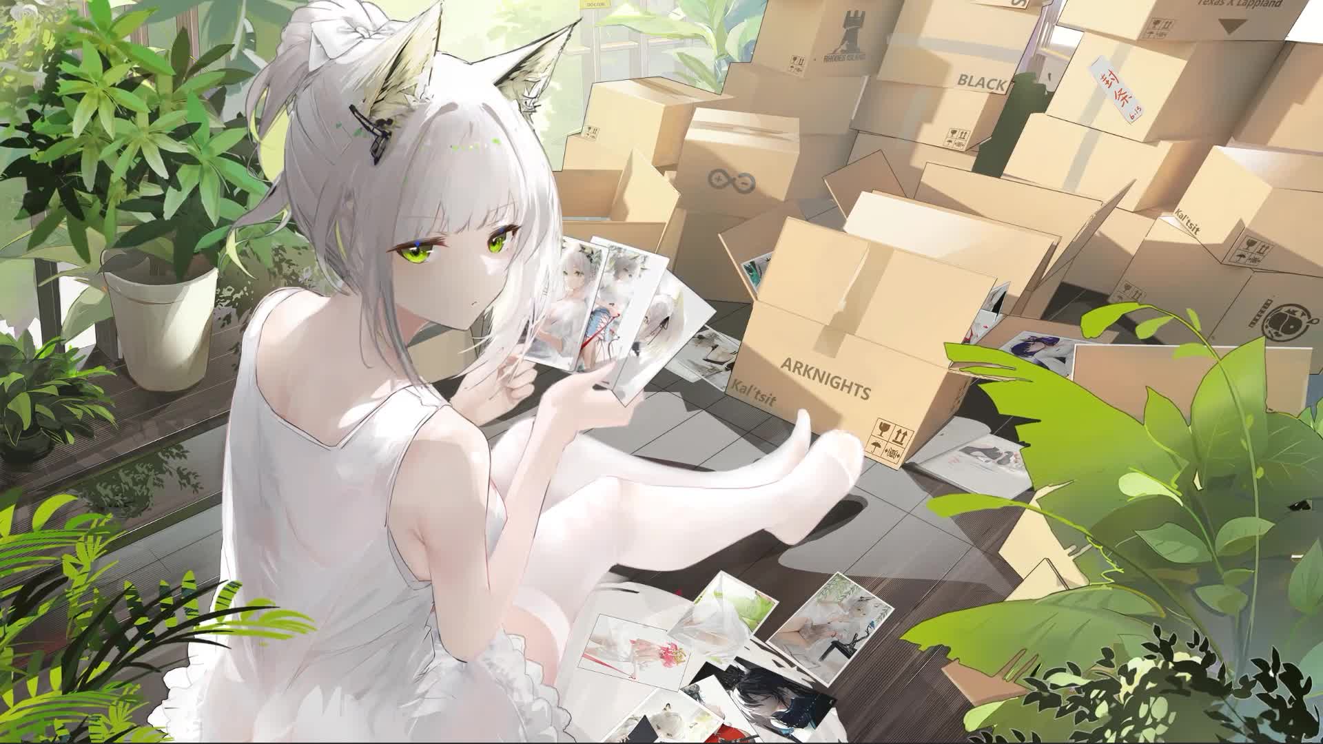 Arknights Kaltsit Live Wallpaper Anime