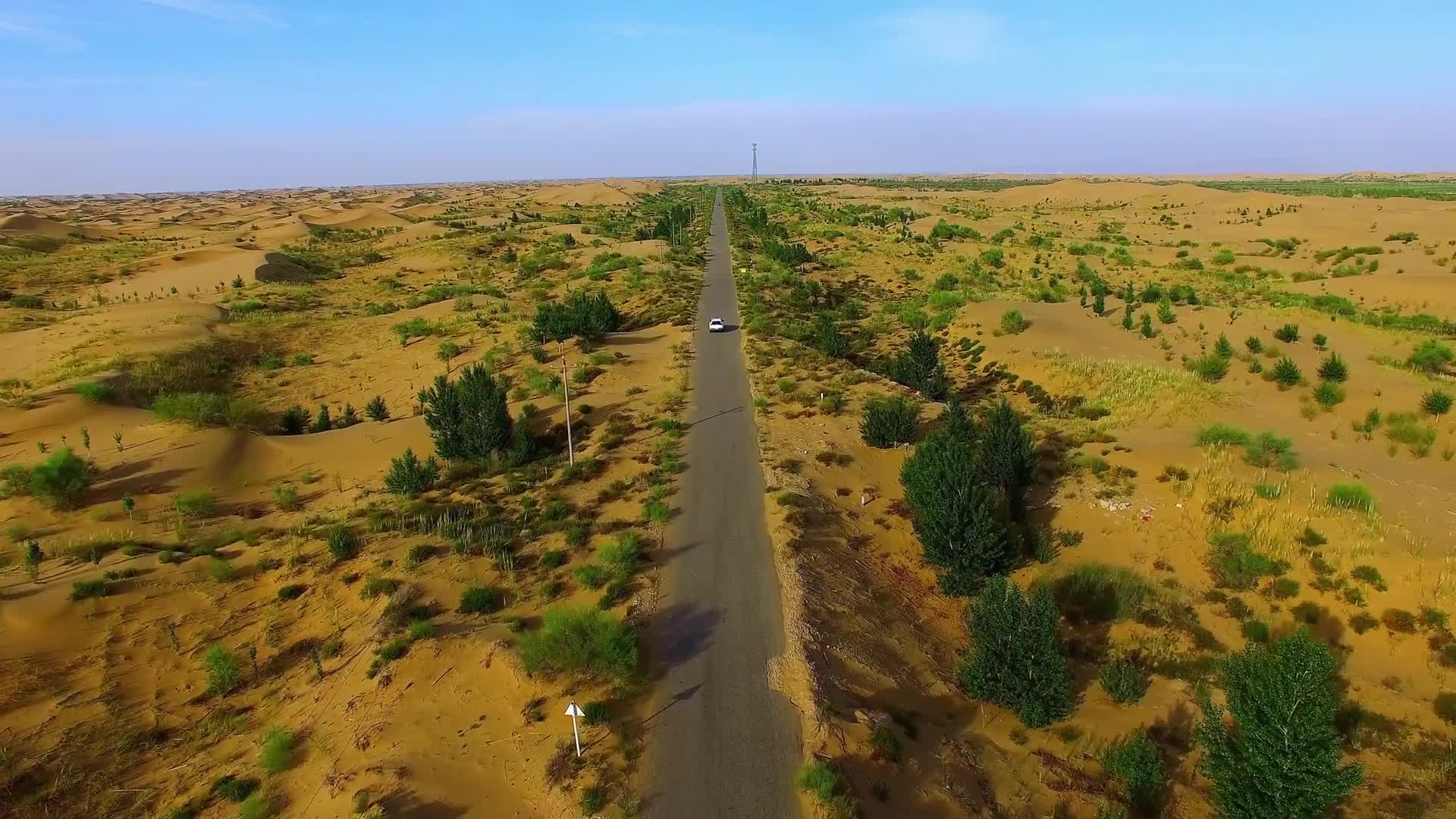 Desert 002 Lively Wallpaper