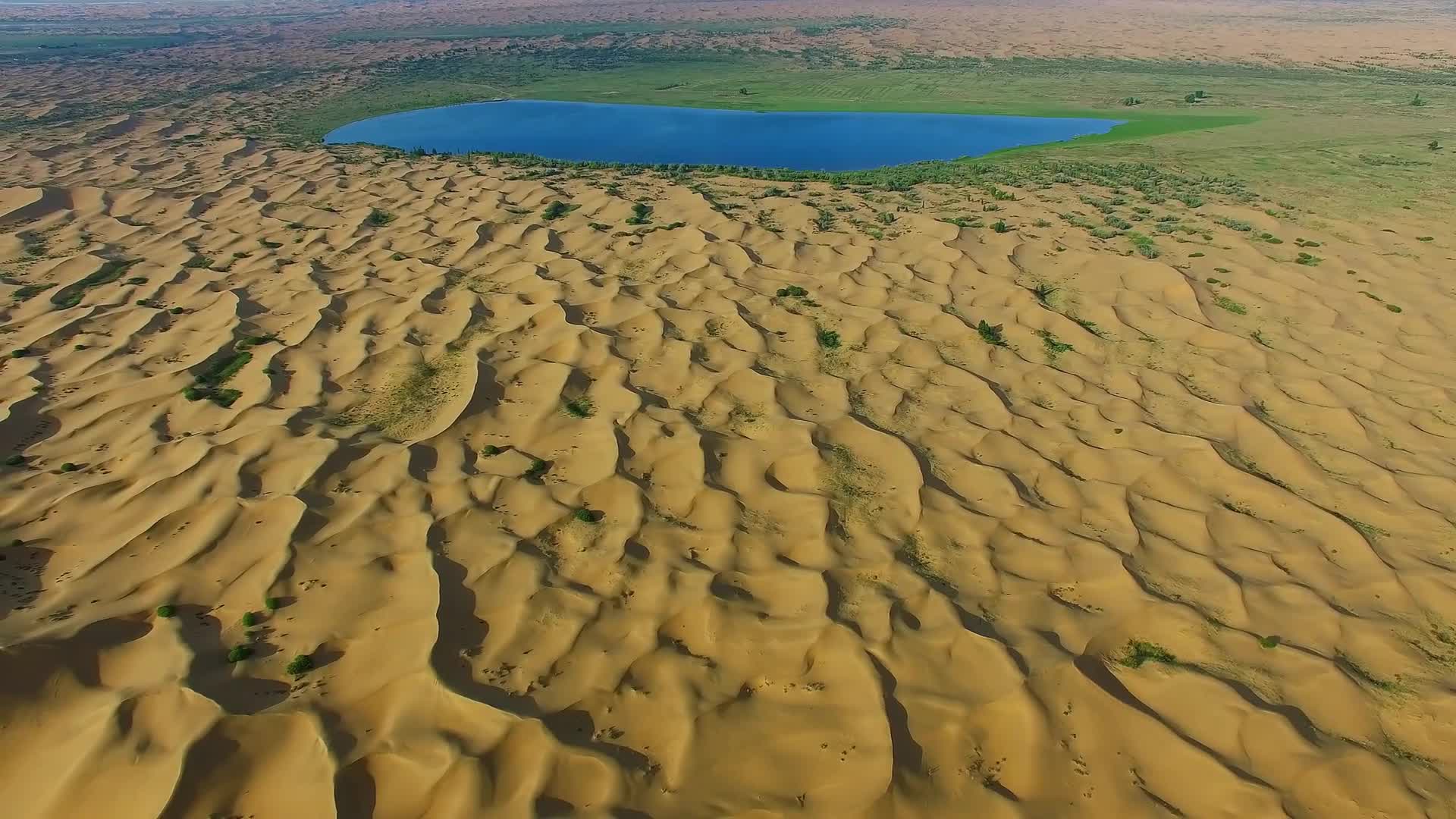 Desert 003 Lively Wallpaper