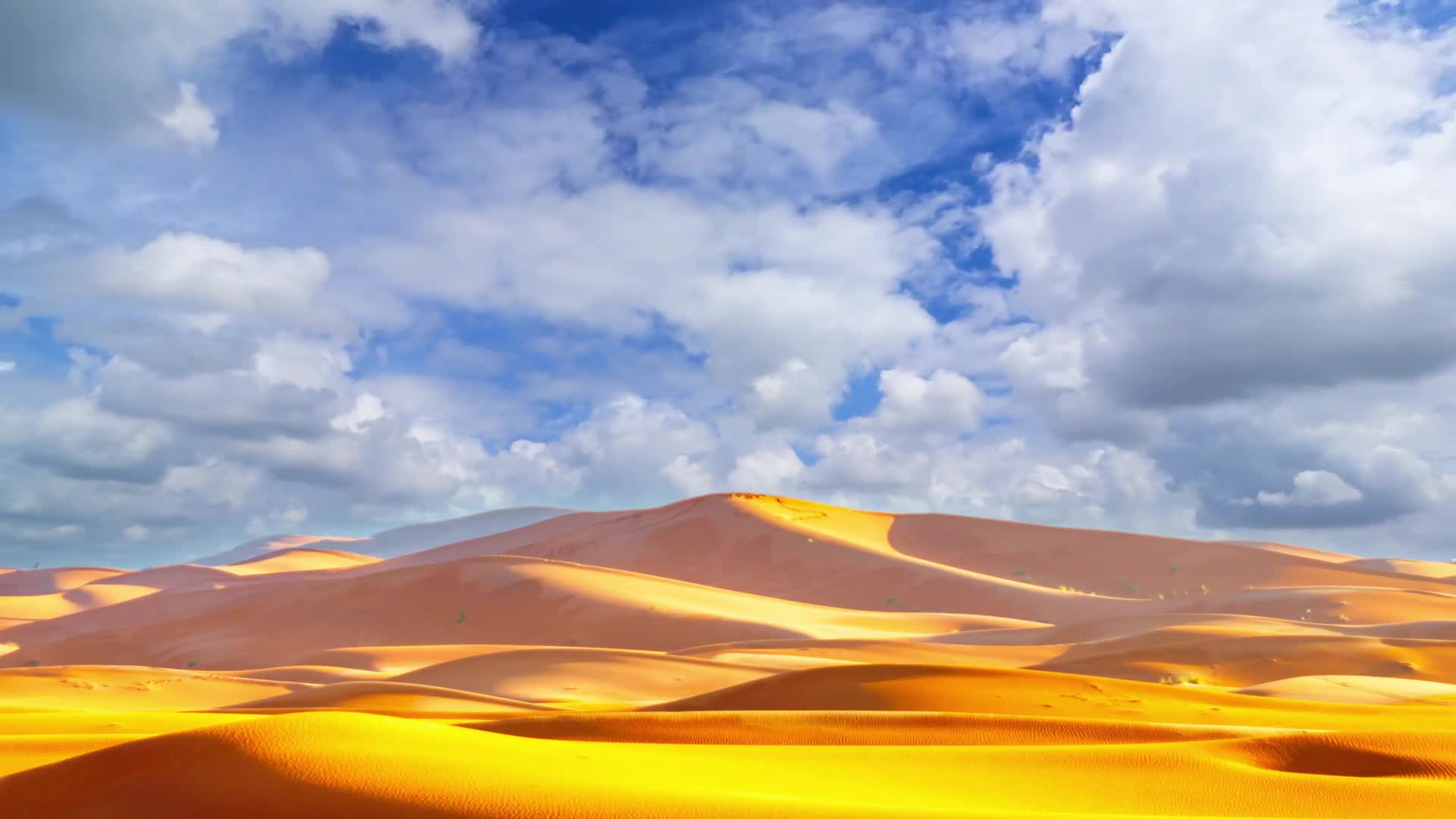 Desert 004 Lively Wallpaper