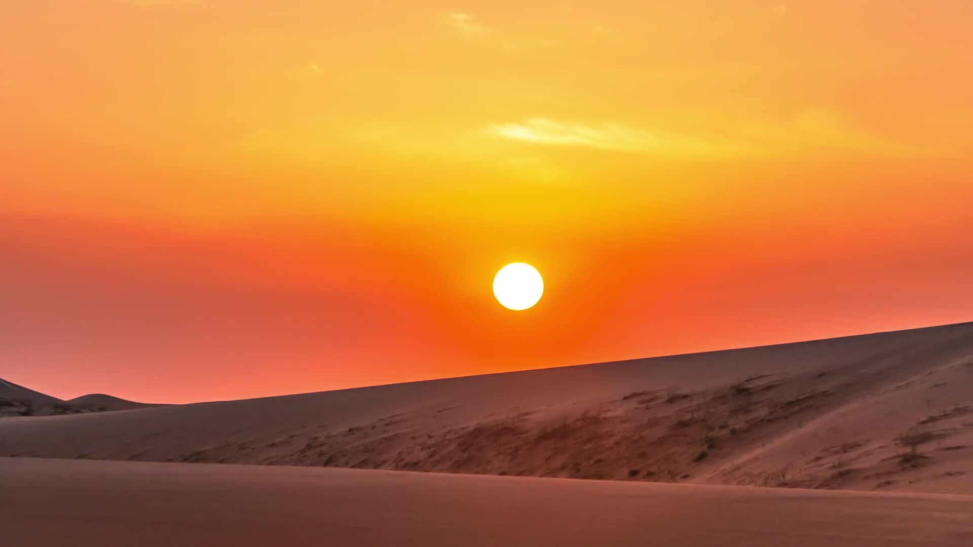 Desert 005 Lively Wallpaper