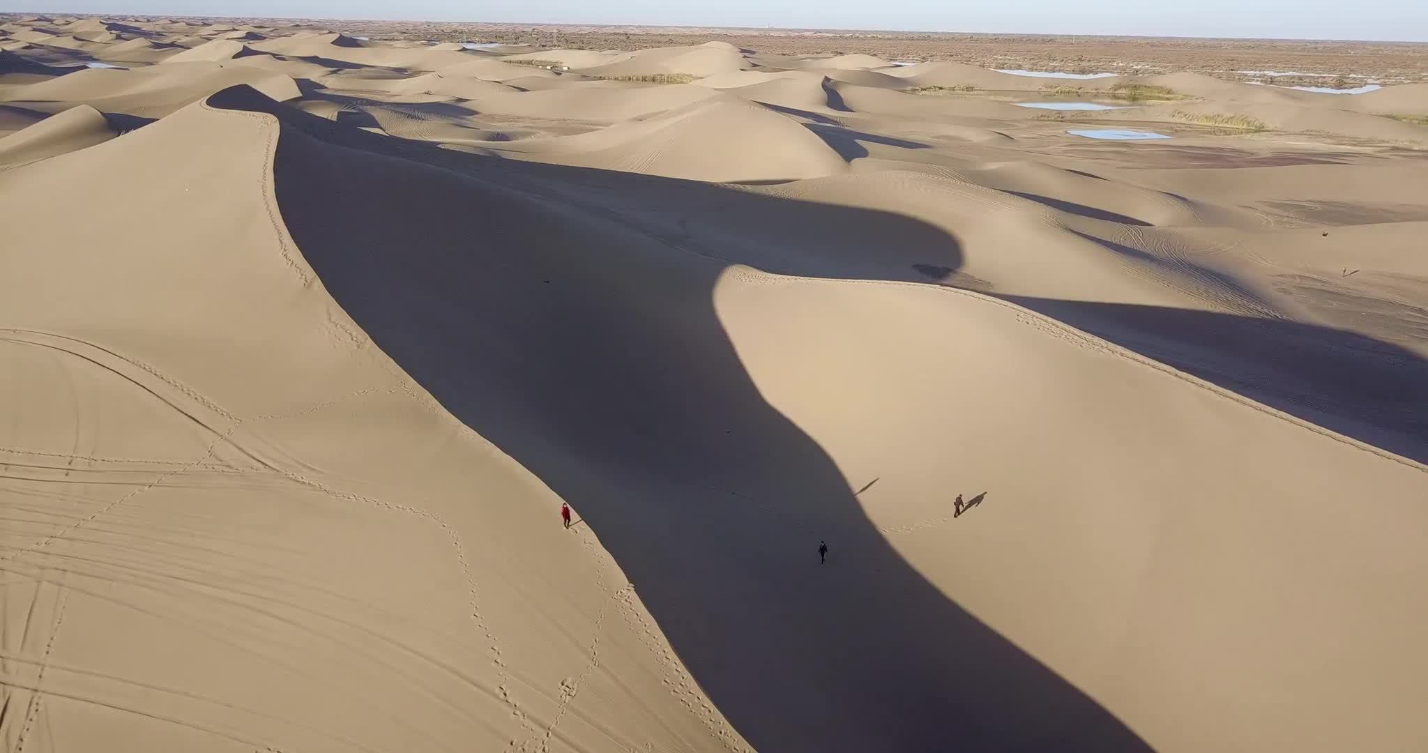 Desert 008 Lively Wallpaper