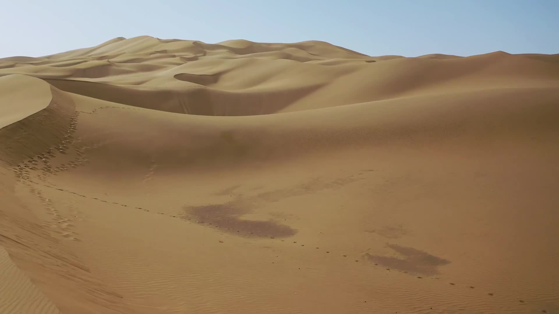 Desert 007 Lively Wallpaper