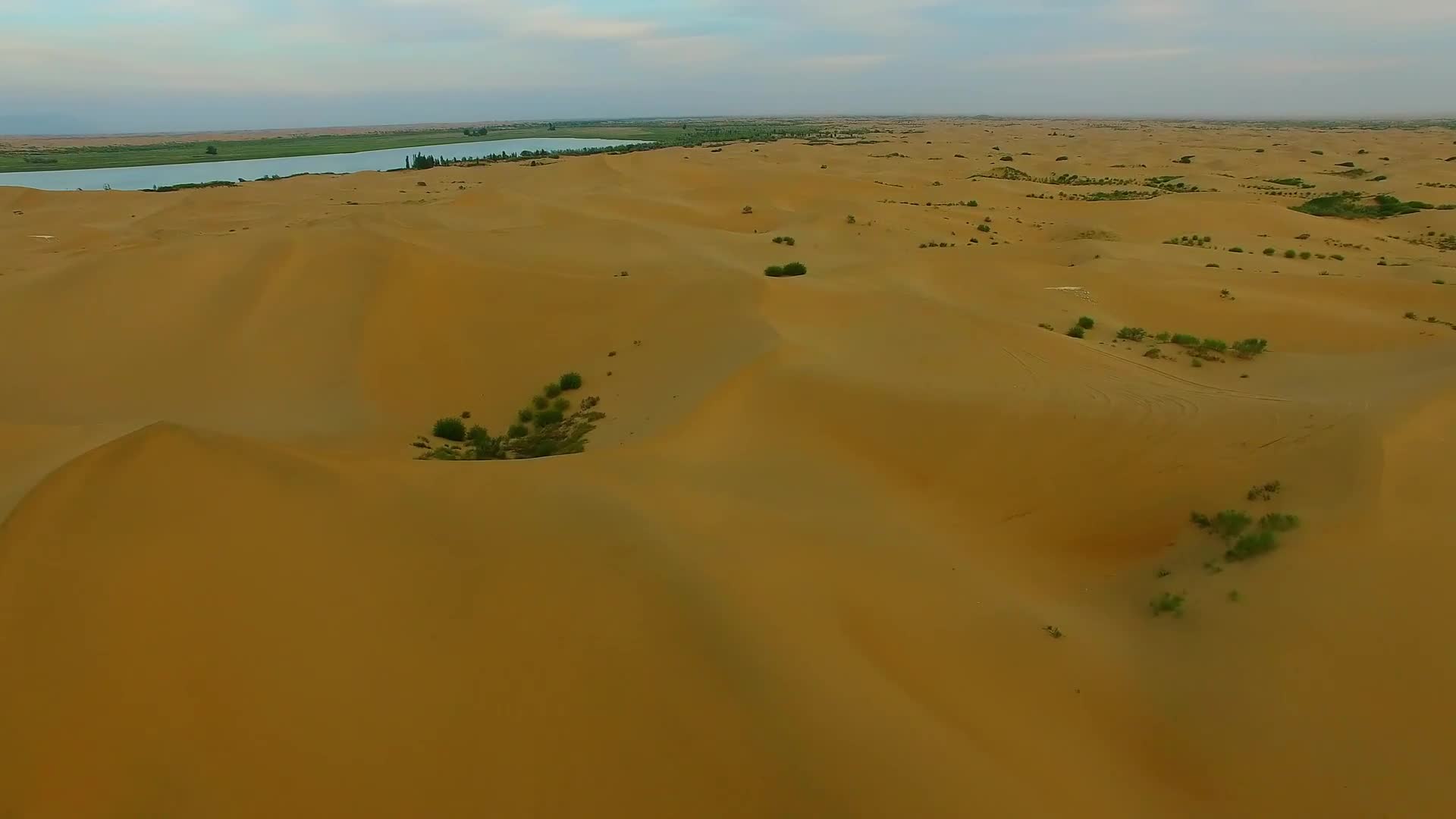 Desert 013 Lively Wallpaper