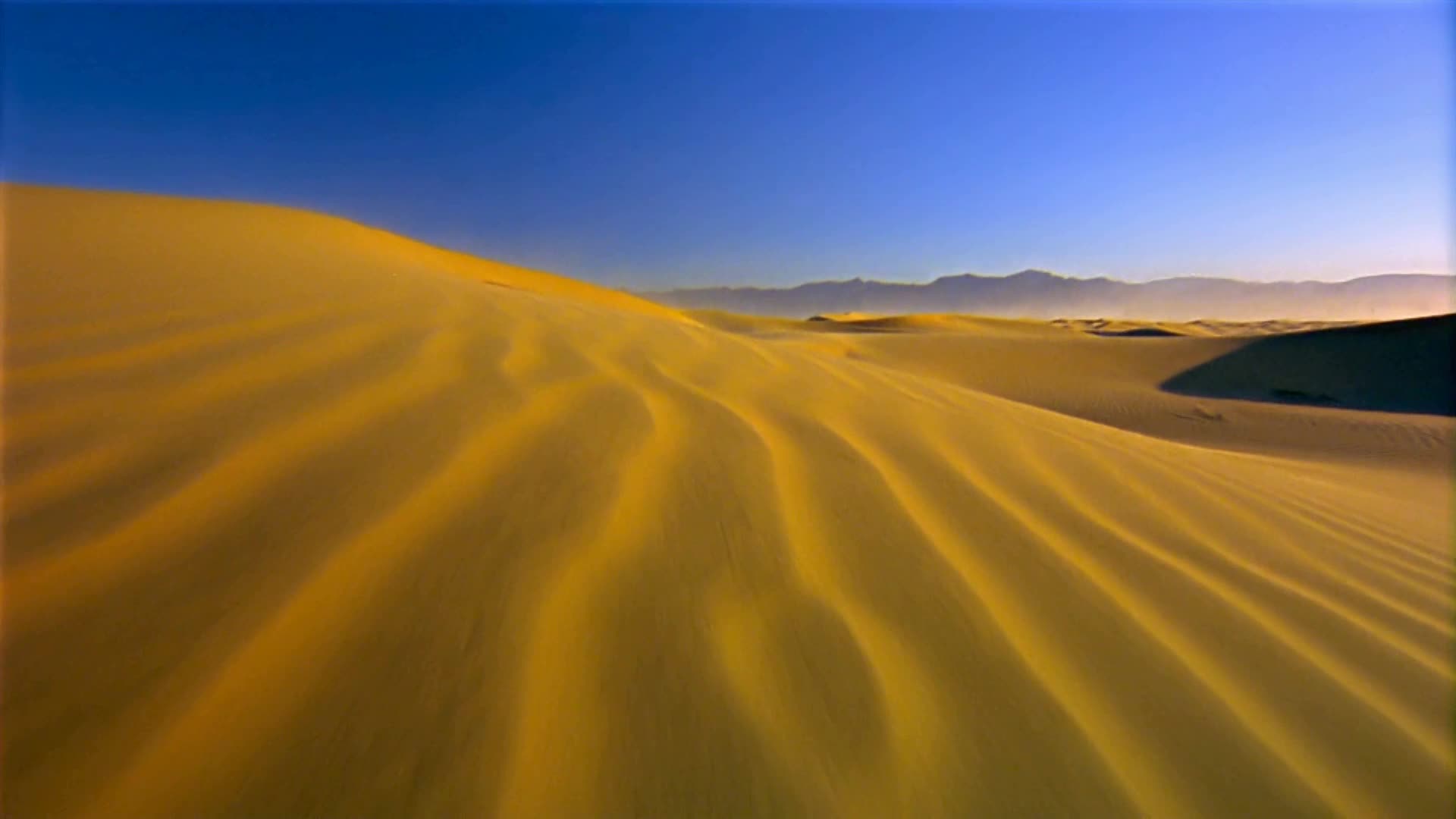 Desert 015 Lively Wallpaper