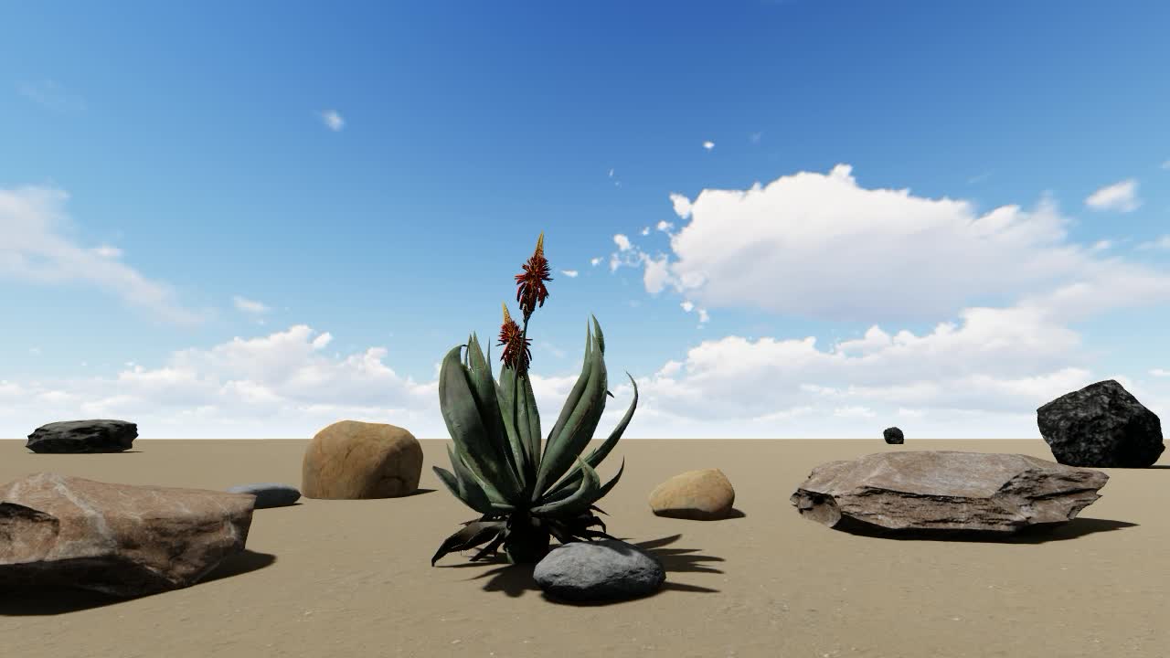 Desert 019 Lively Wallpaper