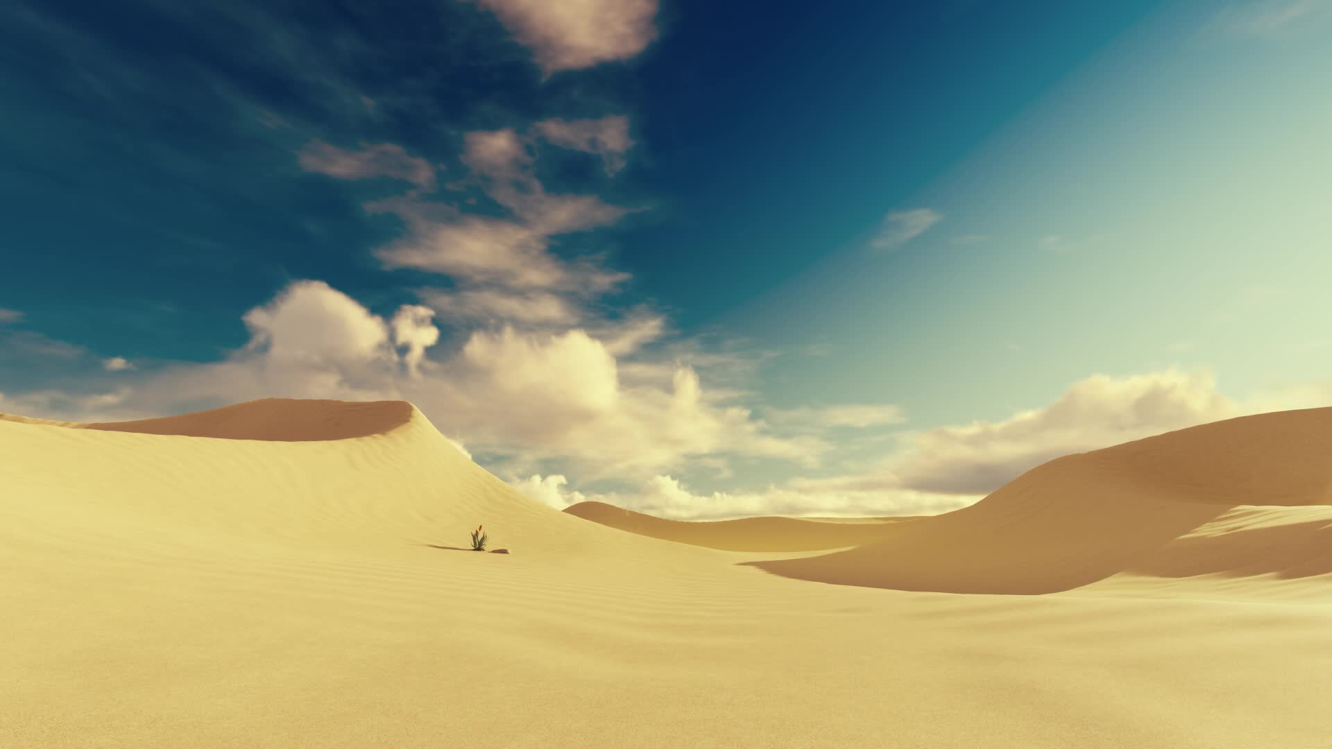 Desert 017 Lively Wallpaper