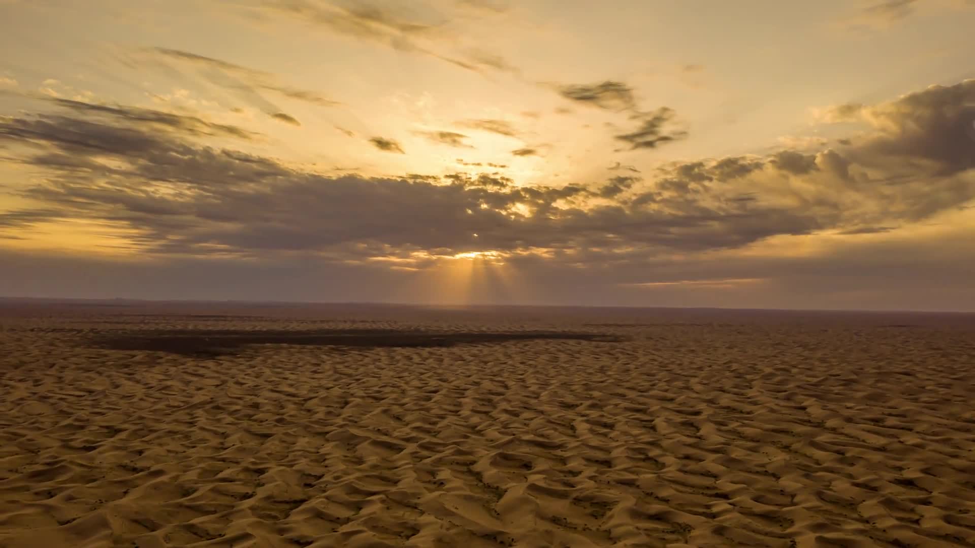 Desert 021 Lively Wallpaper