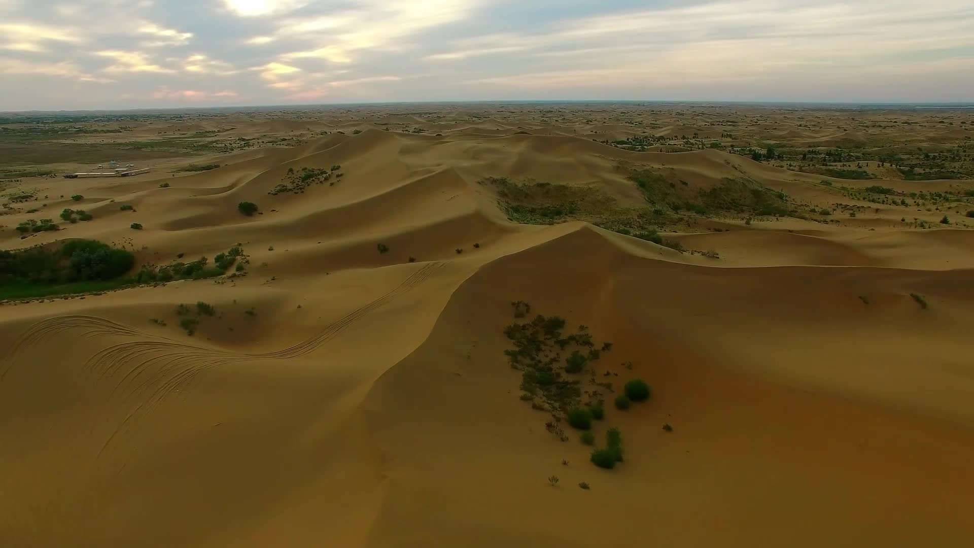 Desert 023 Lively Wallpaper