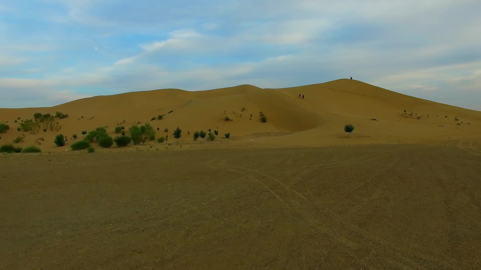 Desert 024 Lively Wallpaper