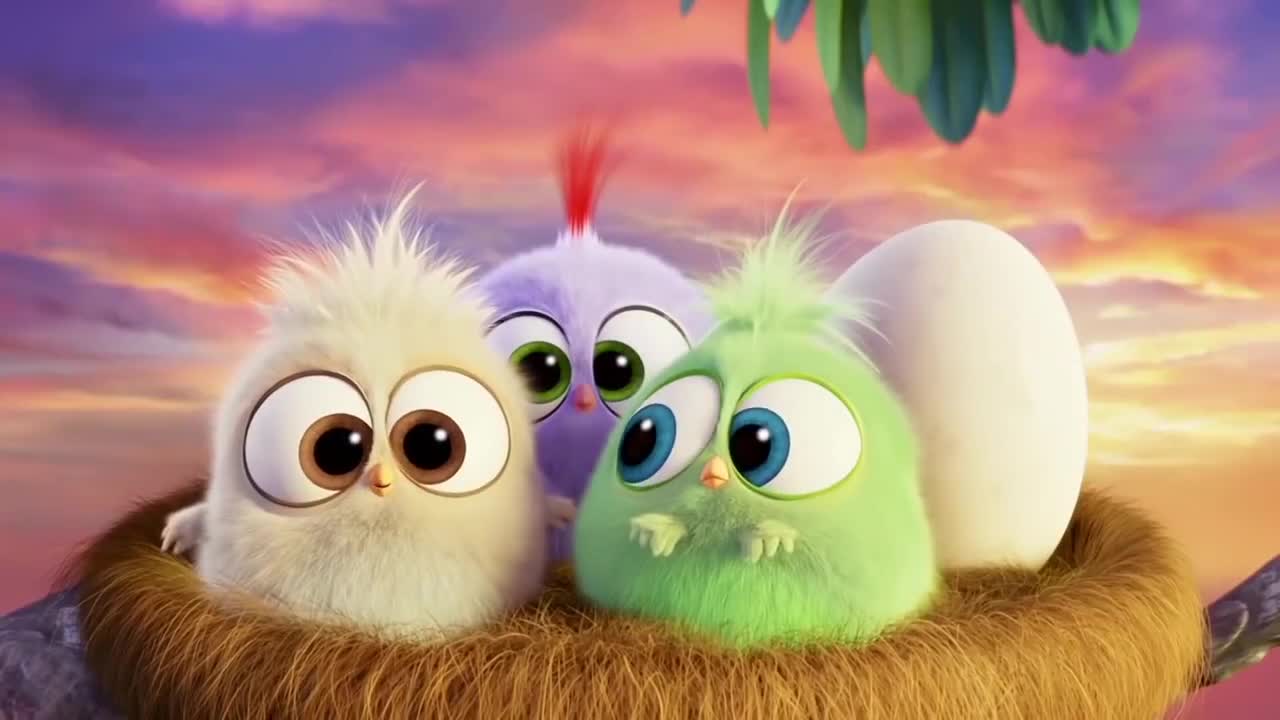 Lovely Bird Lively Wallpaper