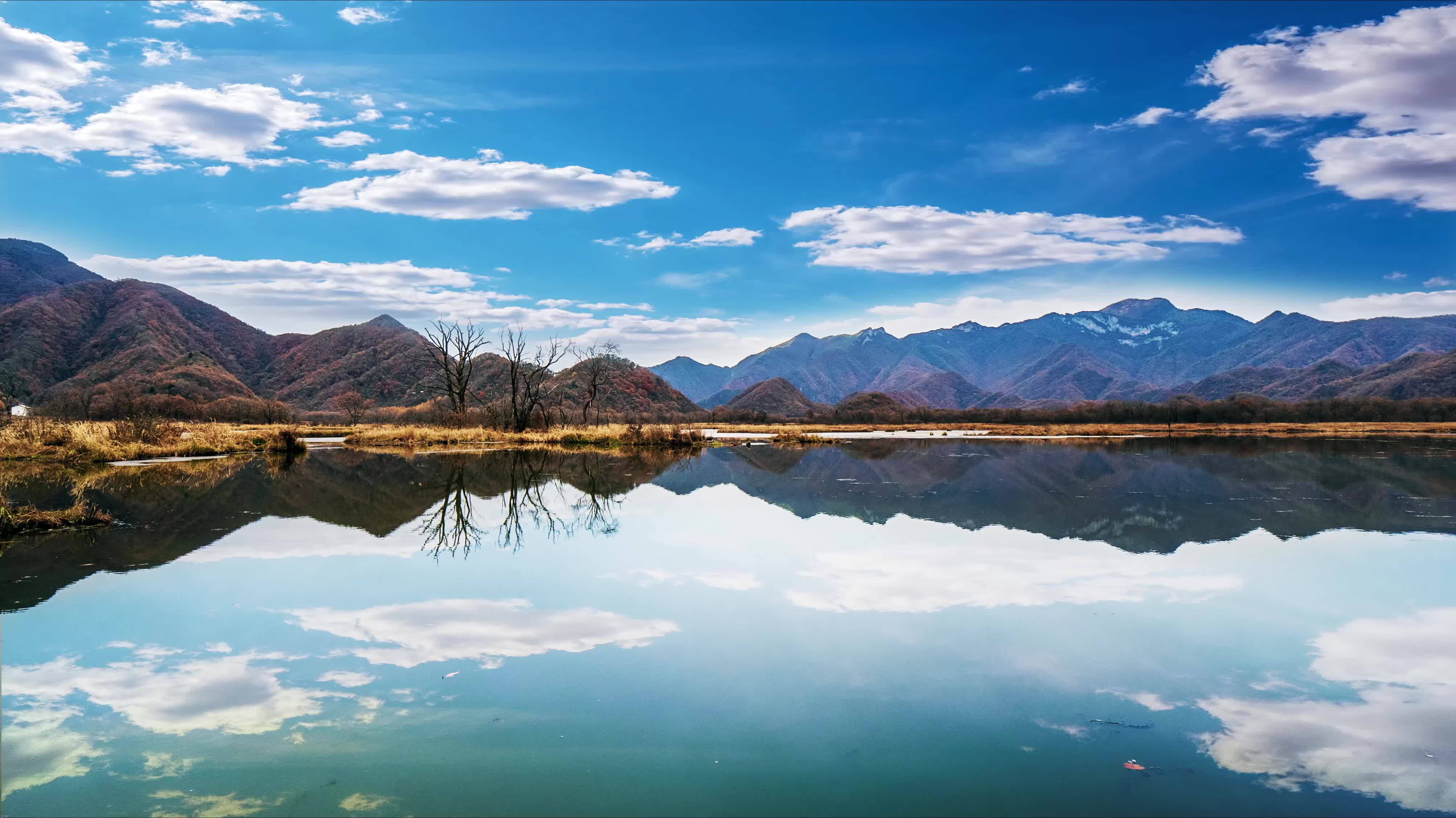 Mountains 002 Lively Wallpaper