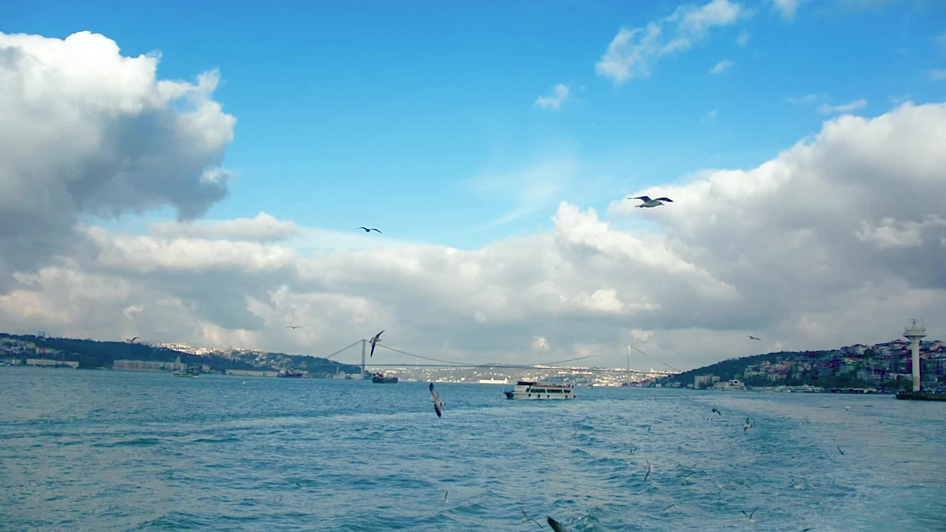 Rivers 005 Lively Wallpaper