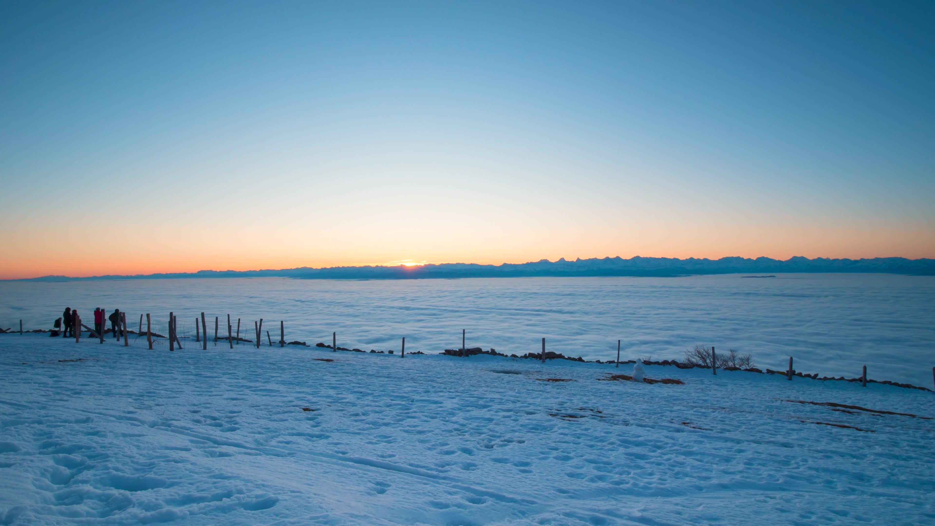 Snow 006 Lively Wallpaper