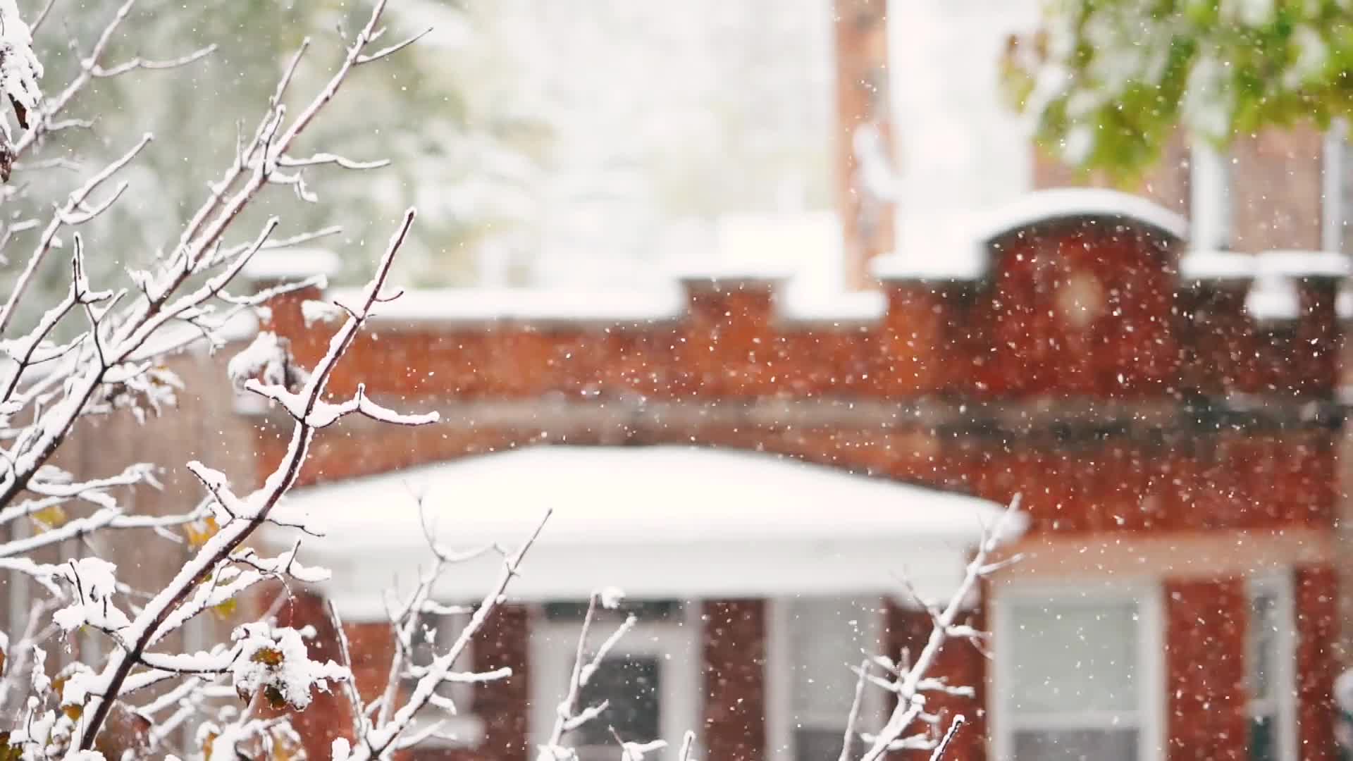 Snow 012 Lively Wallpaper