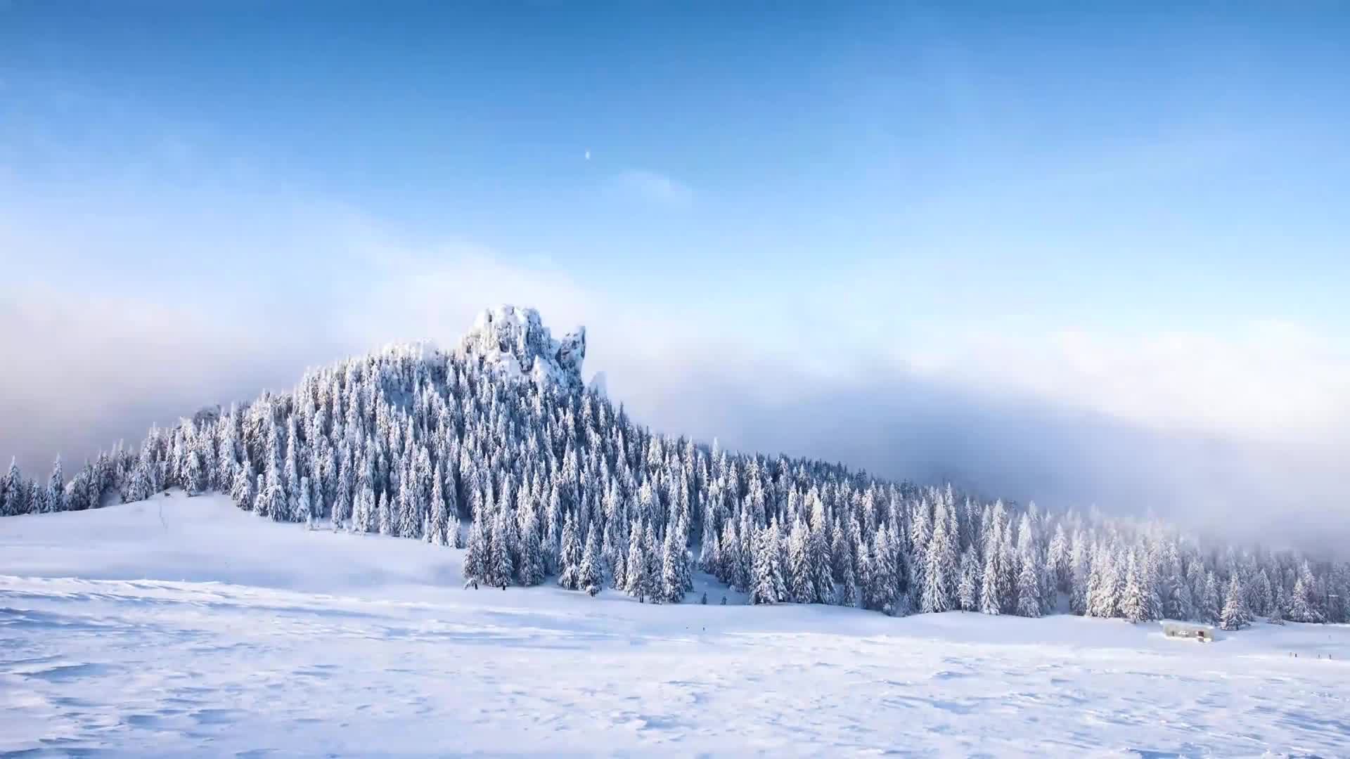 Snow 014 Lively Wallpaper