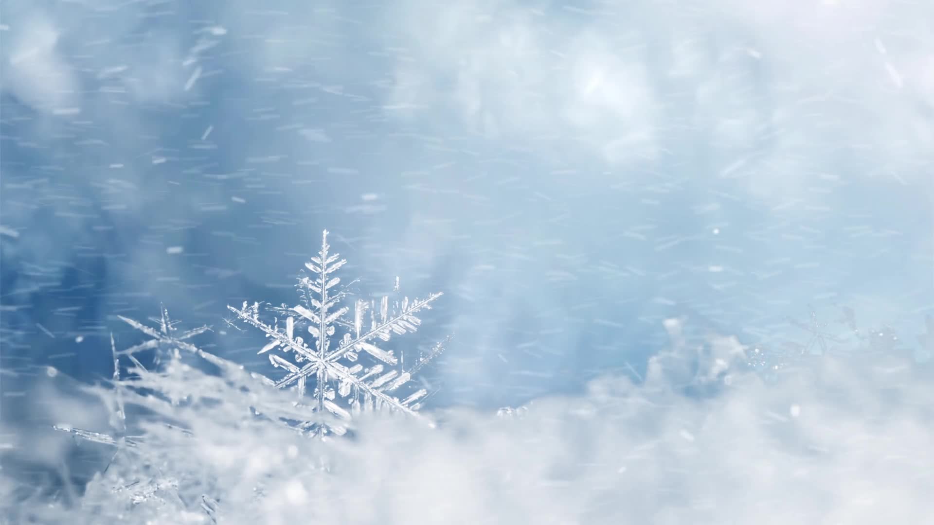 Snow 033 Lively Wallpaper