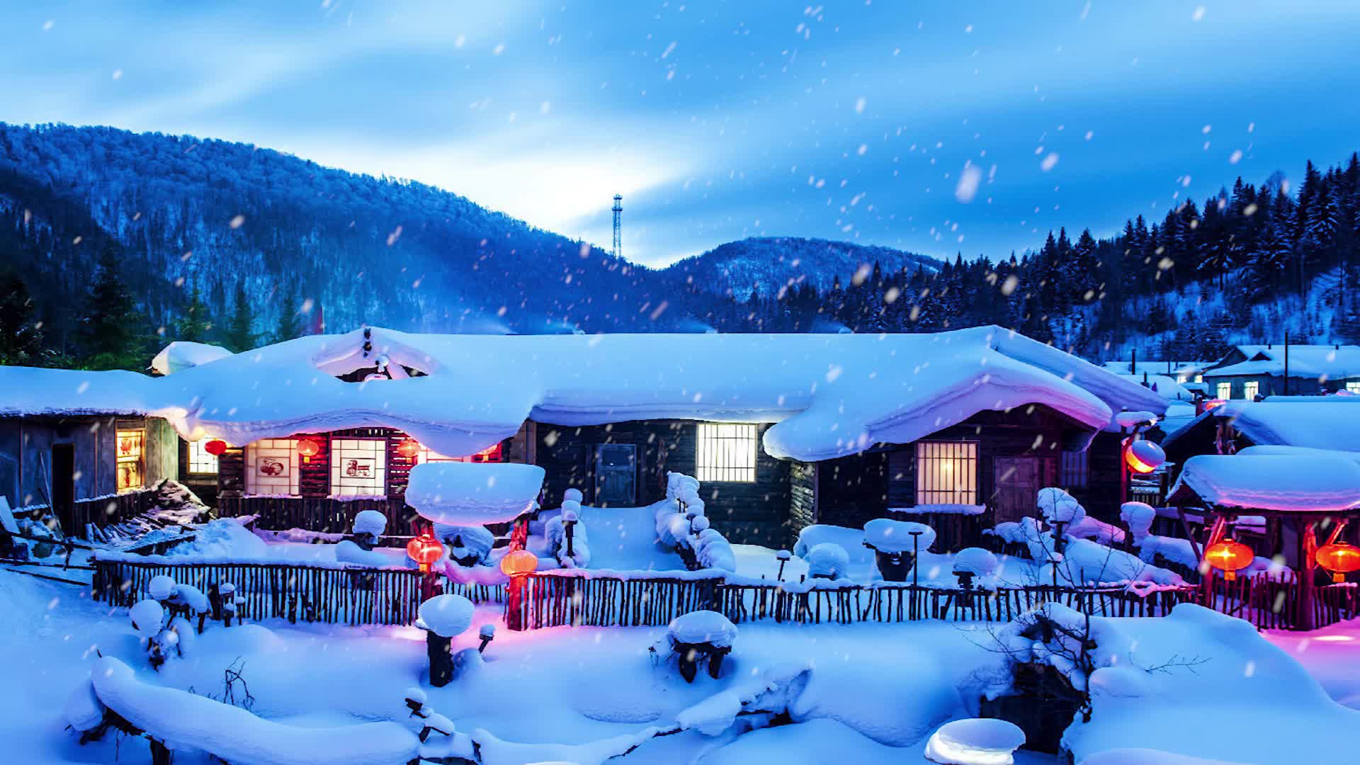 Snow 031 Lively Wallpaper