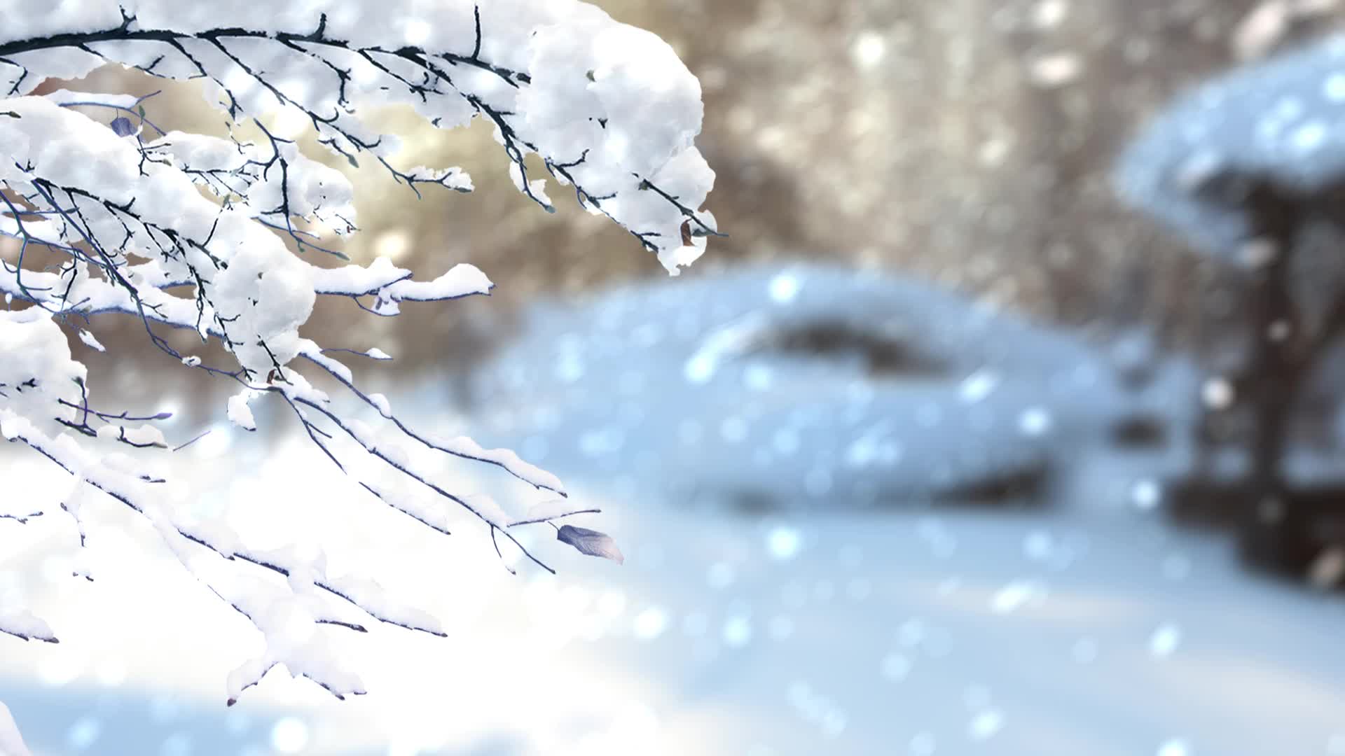 Snow 037 Lively Wallpaper