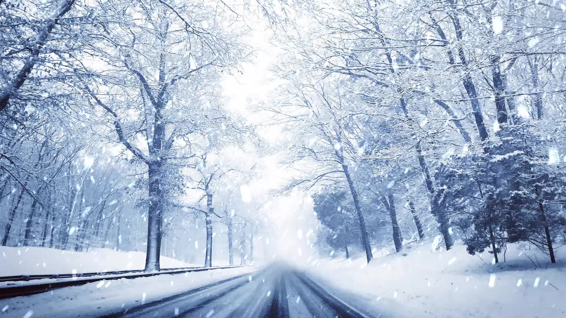 Snow 038 Lively Wallpaper