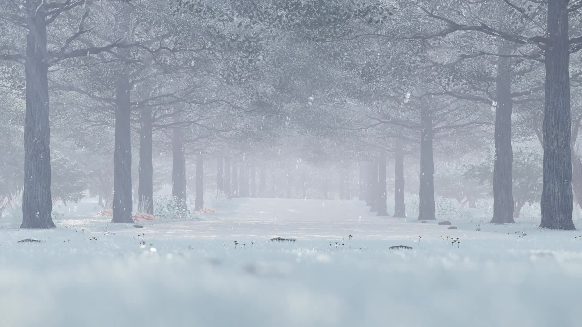 Snow 040 Lively Wallpaper