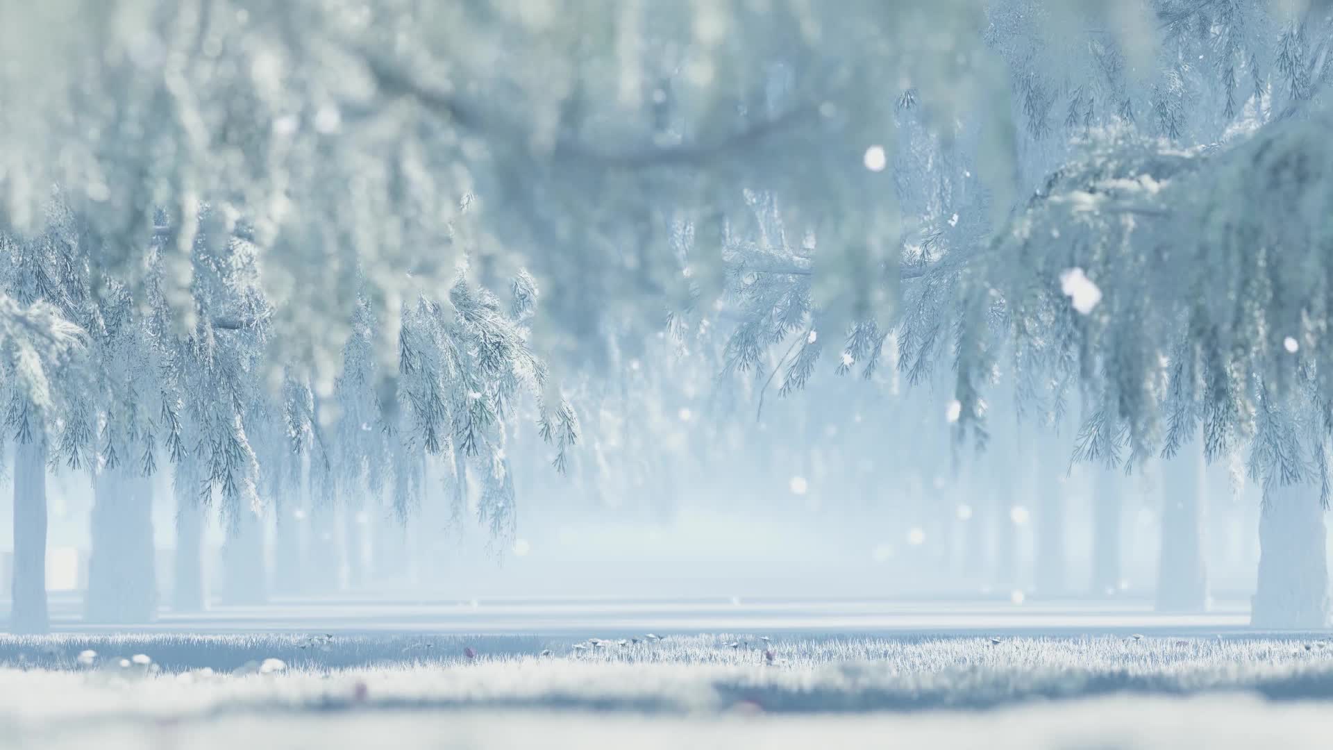 Snow 039 Lively Wallpaper