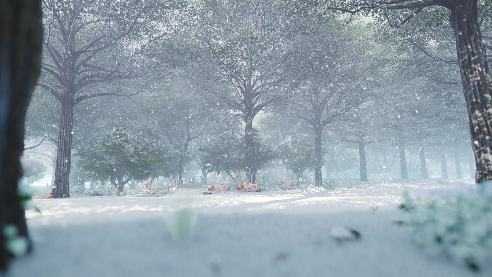 Snow 042 Lively Wallpaper