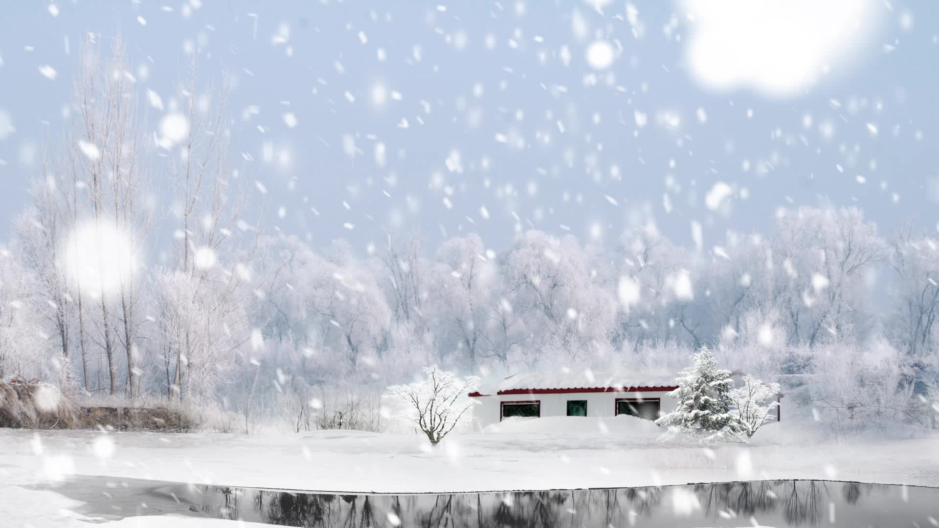 Snow 043 Lively Wallpaper